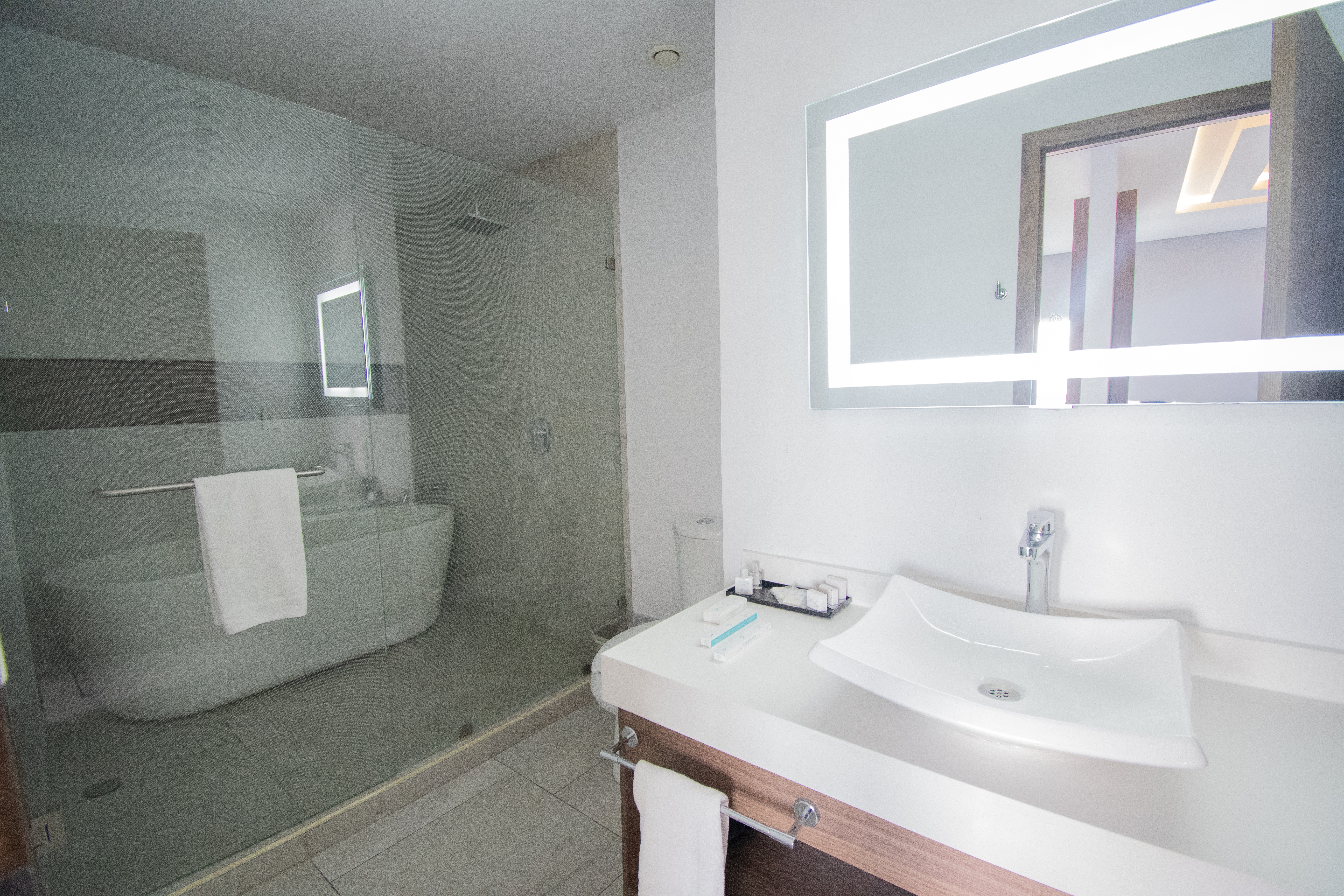 Wyndham Puebla Angelopolis