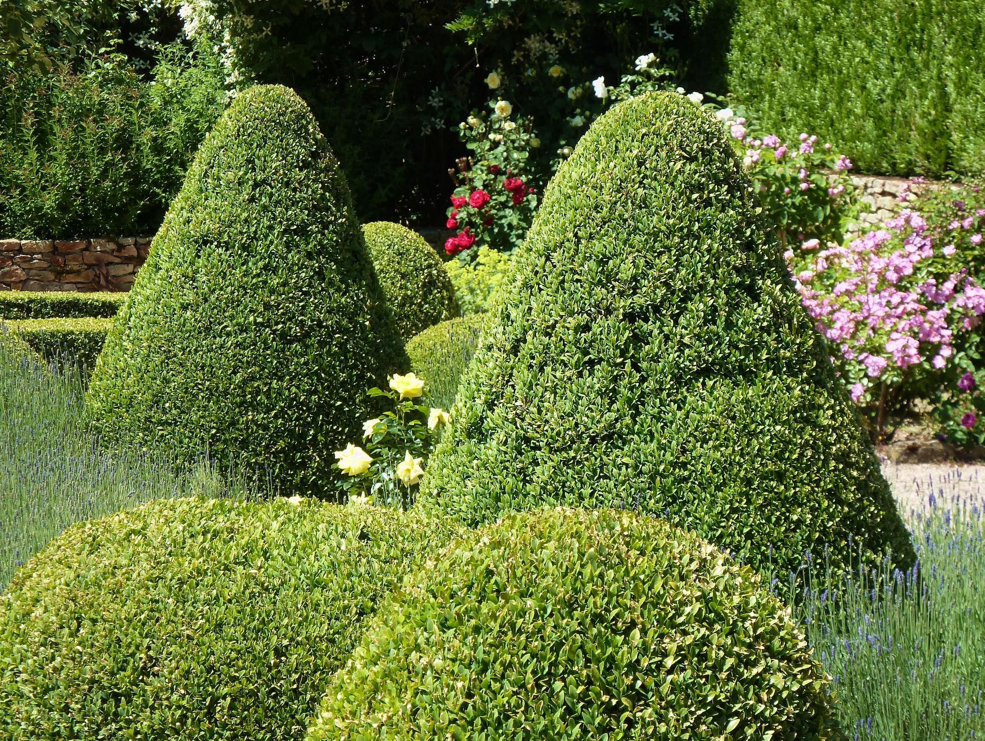 Moulin Renaudiots by null