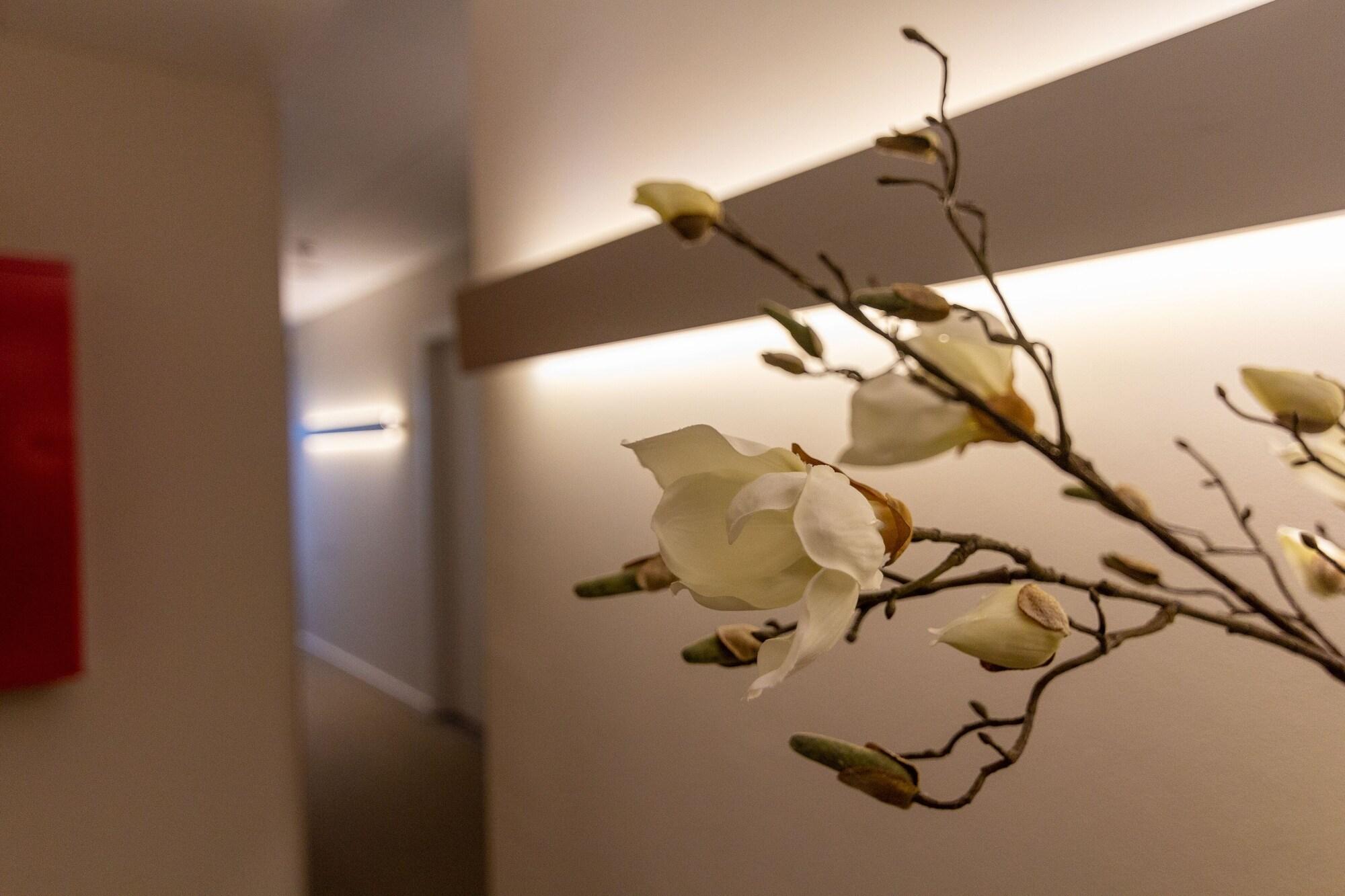Hotel Stayen by null