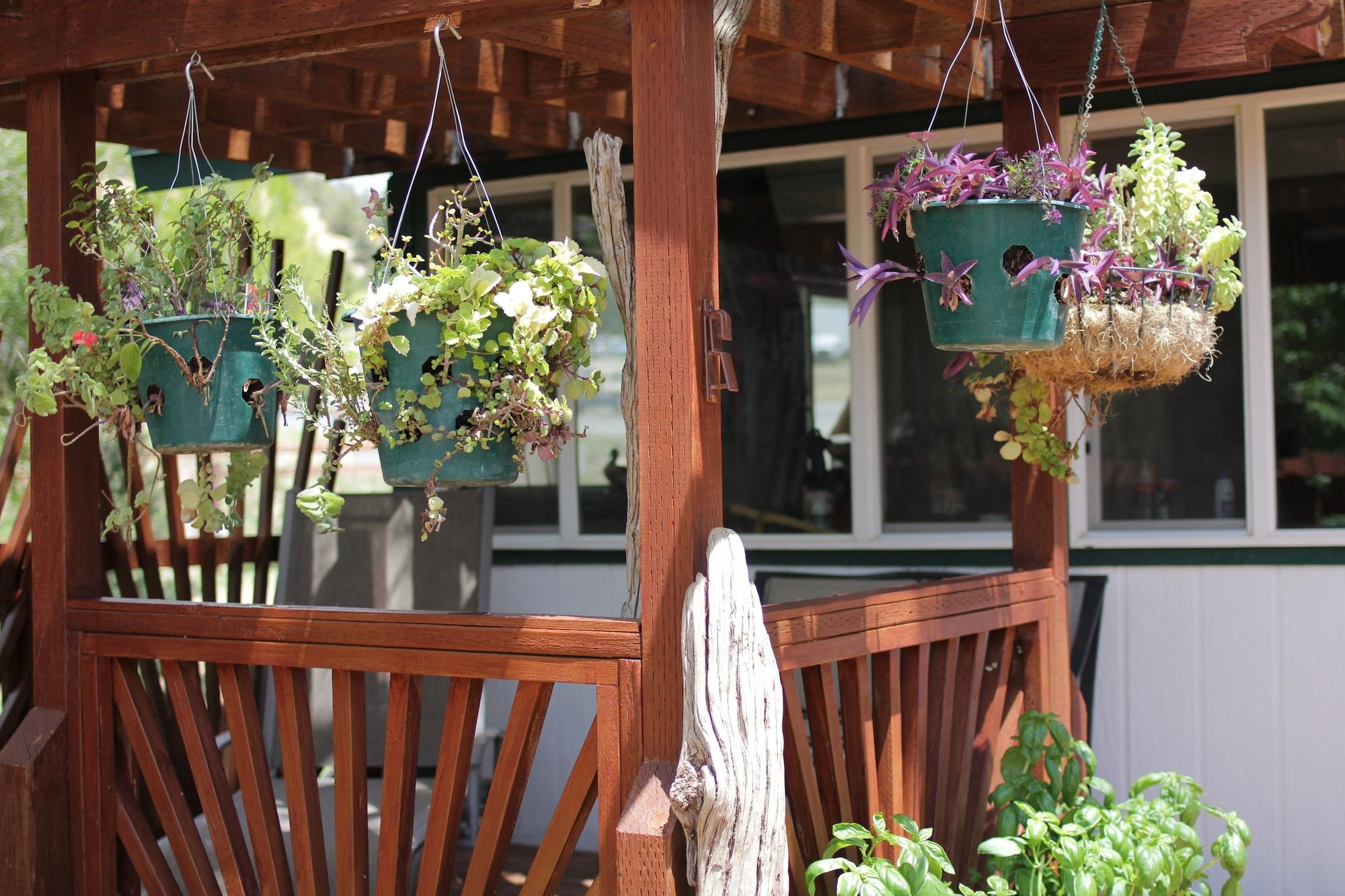 Historic Smith Hotel Bed and Breakfast by null