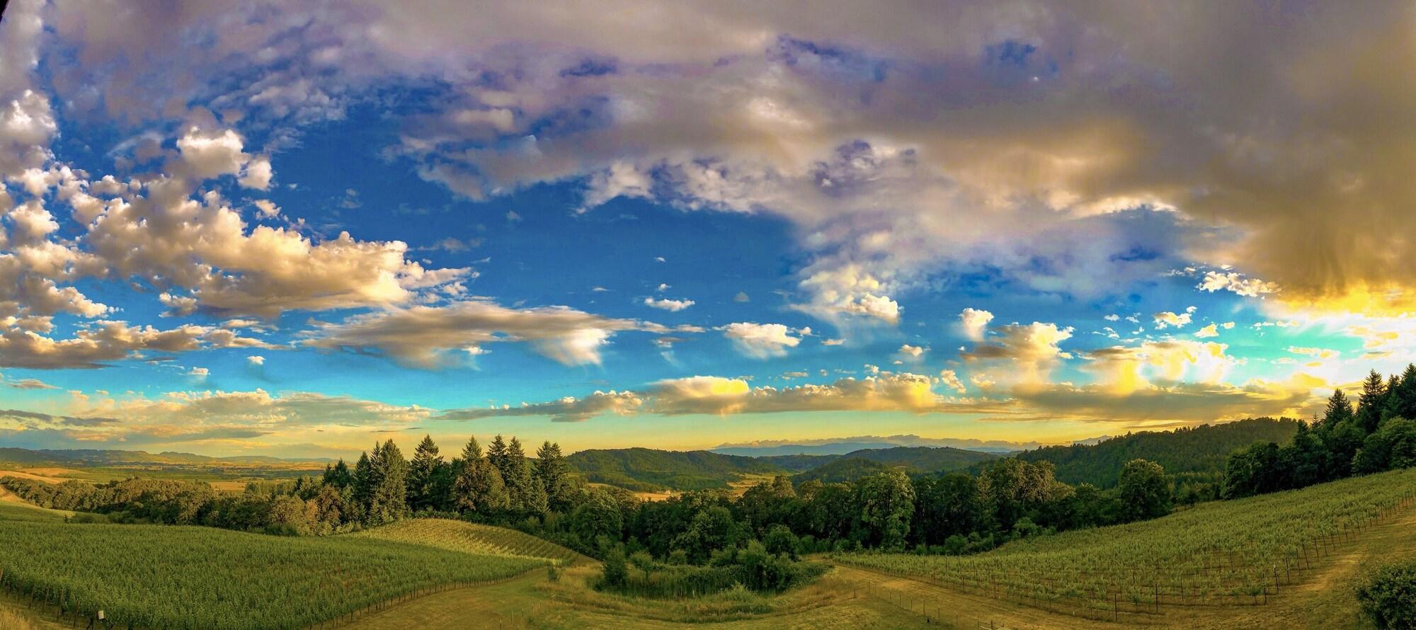 Youngberg Hill Inn & Winery by null