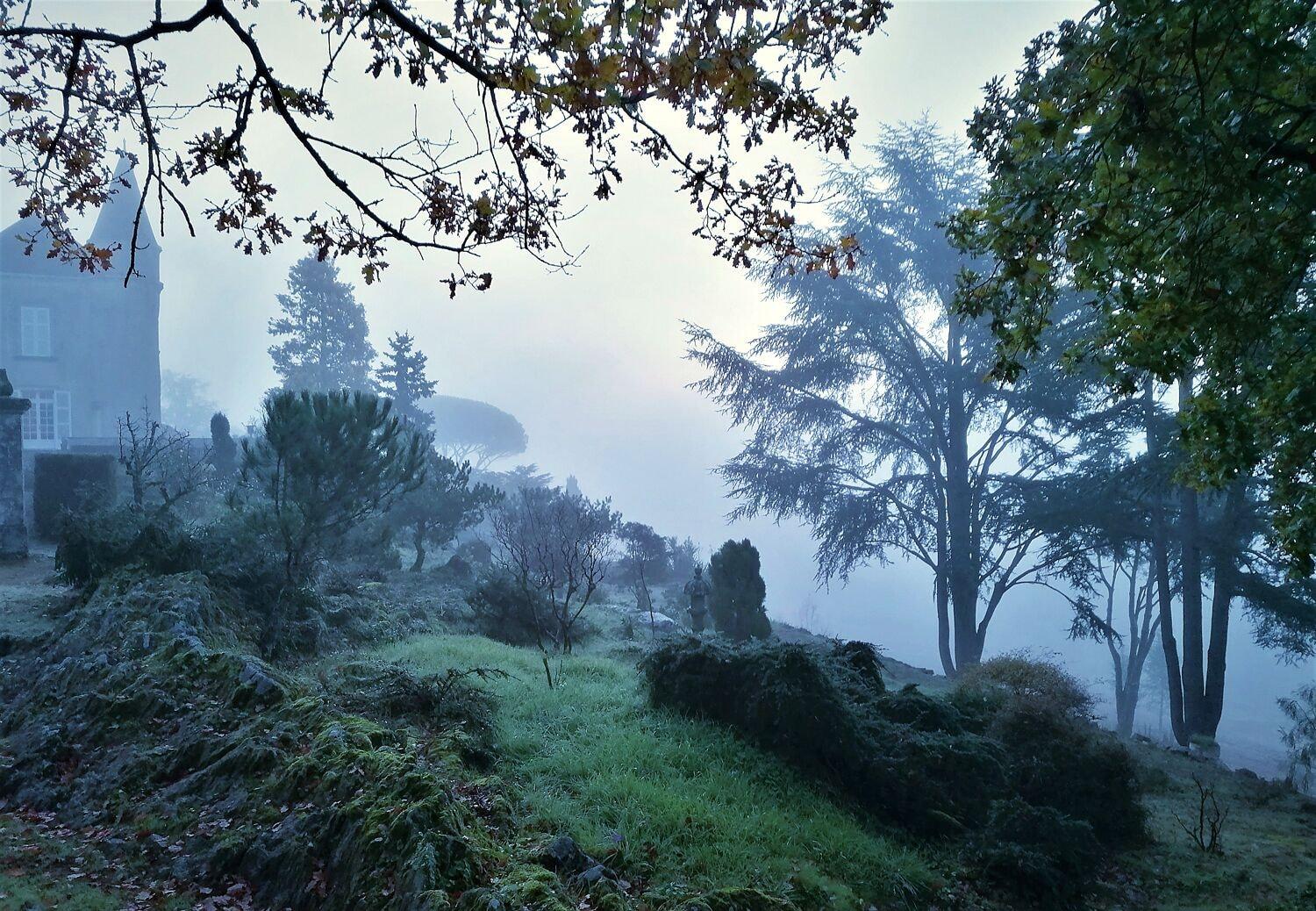 Château Haute Roche by null