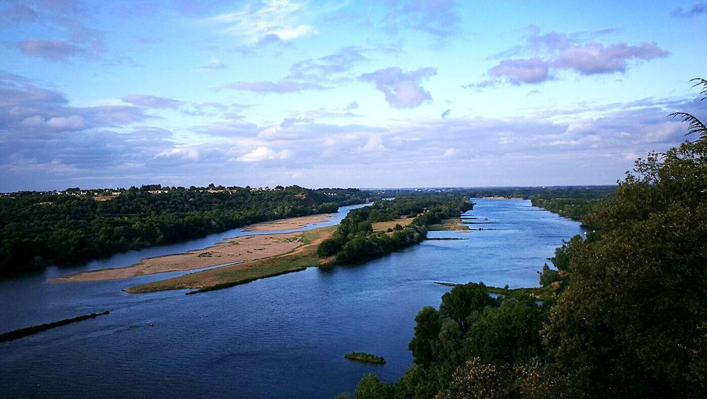 Château Haute Roche by null
