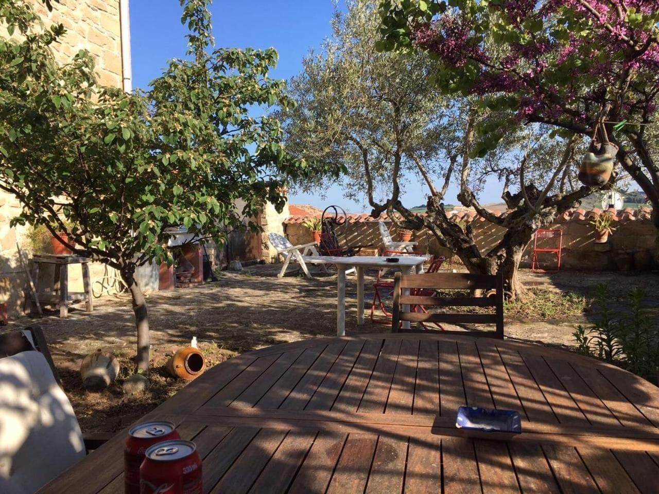 El Olivo De Sansol