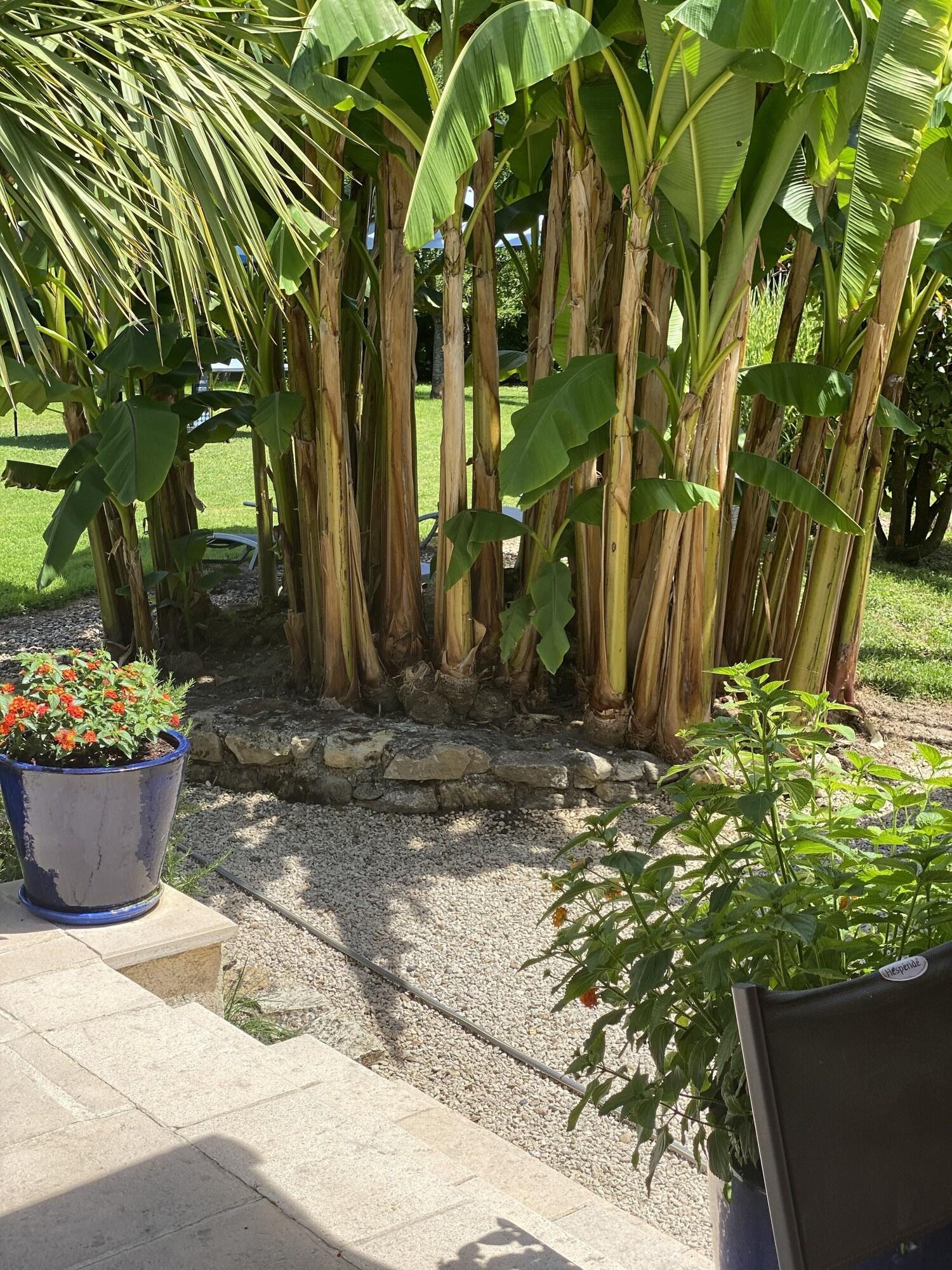 Domaine des deux rivières - B&B