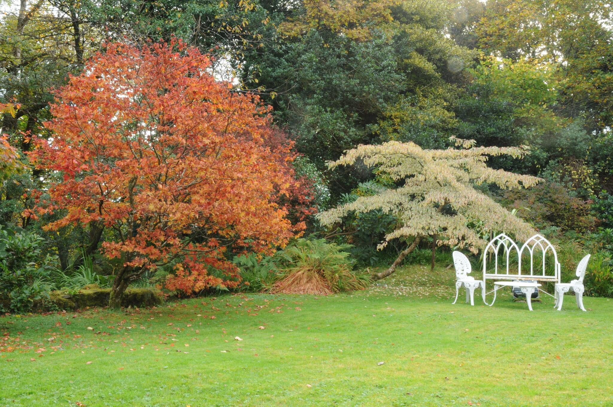 Cashel House Hotel by null