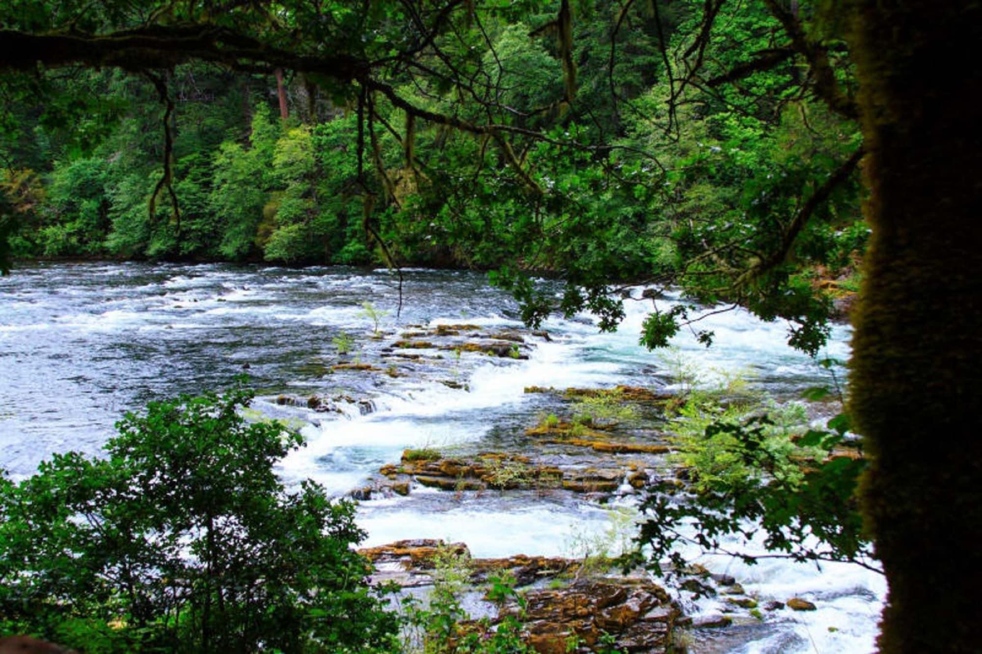 Steamboat Inn by null