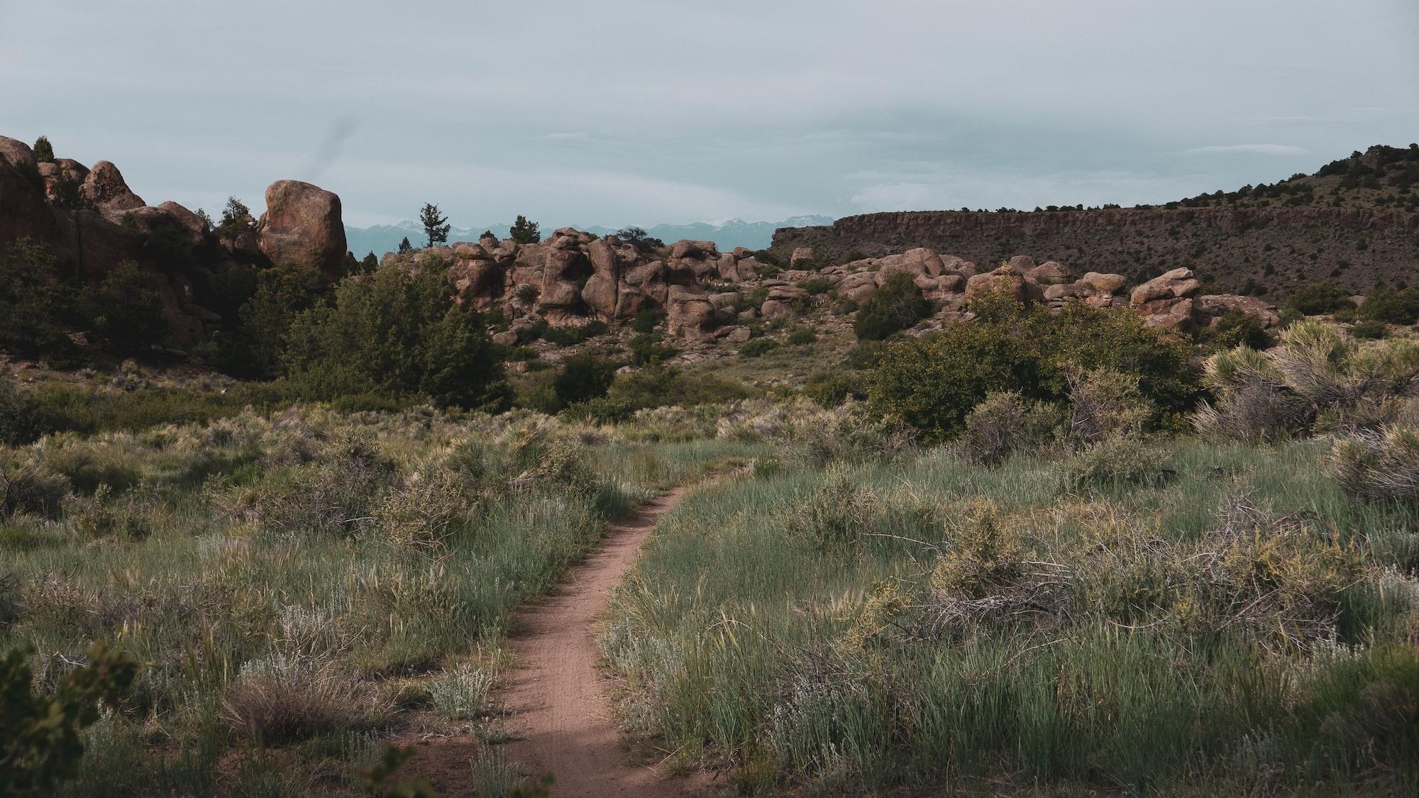 Mellow Moon Lodge by null