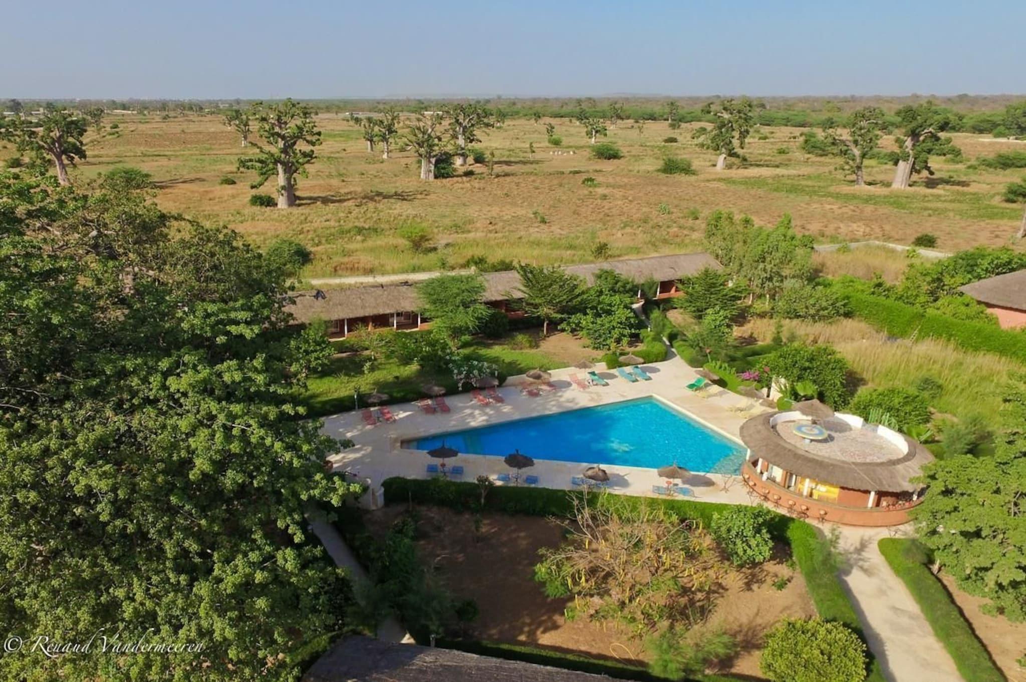 Baobab Soleil