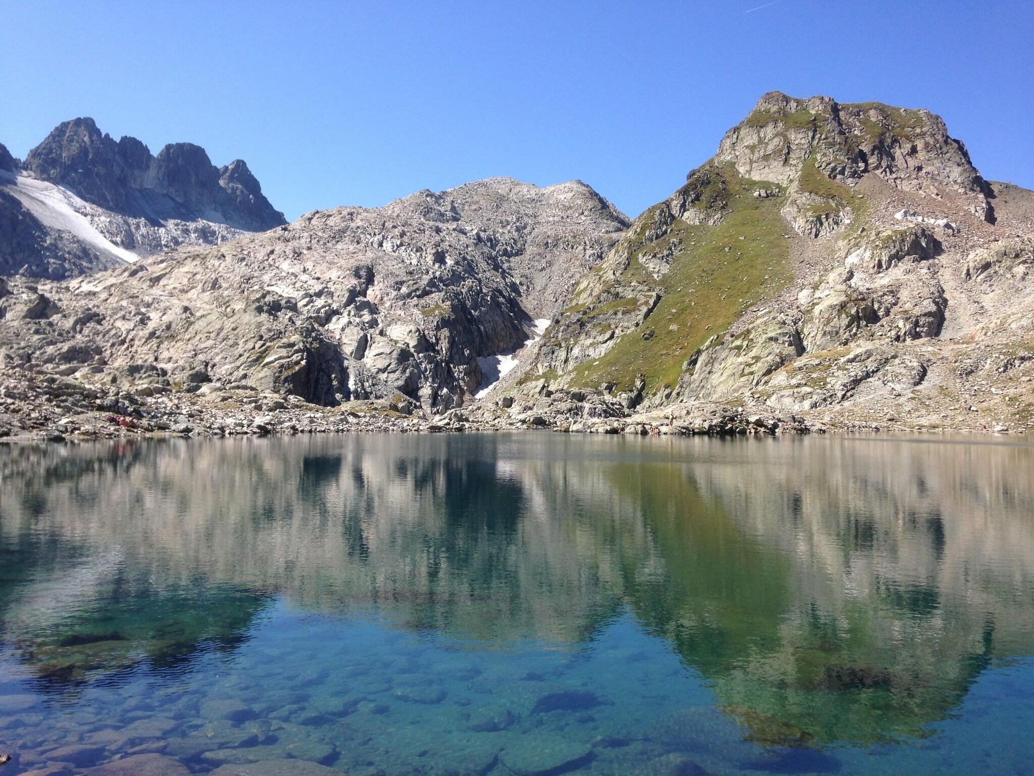 Adonis Saint Colomban By Olydea