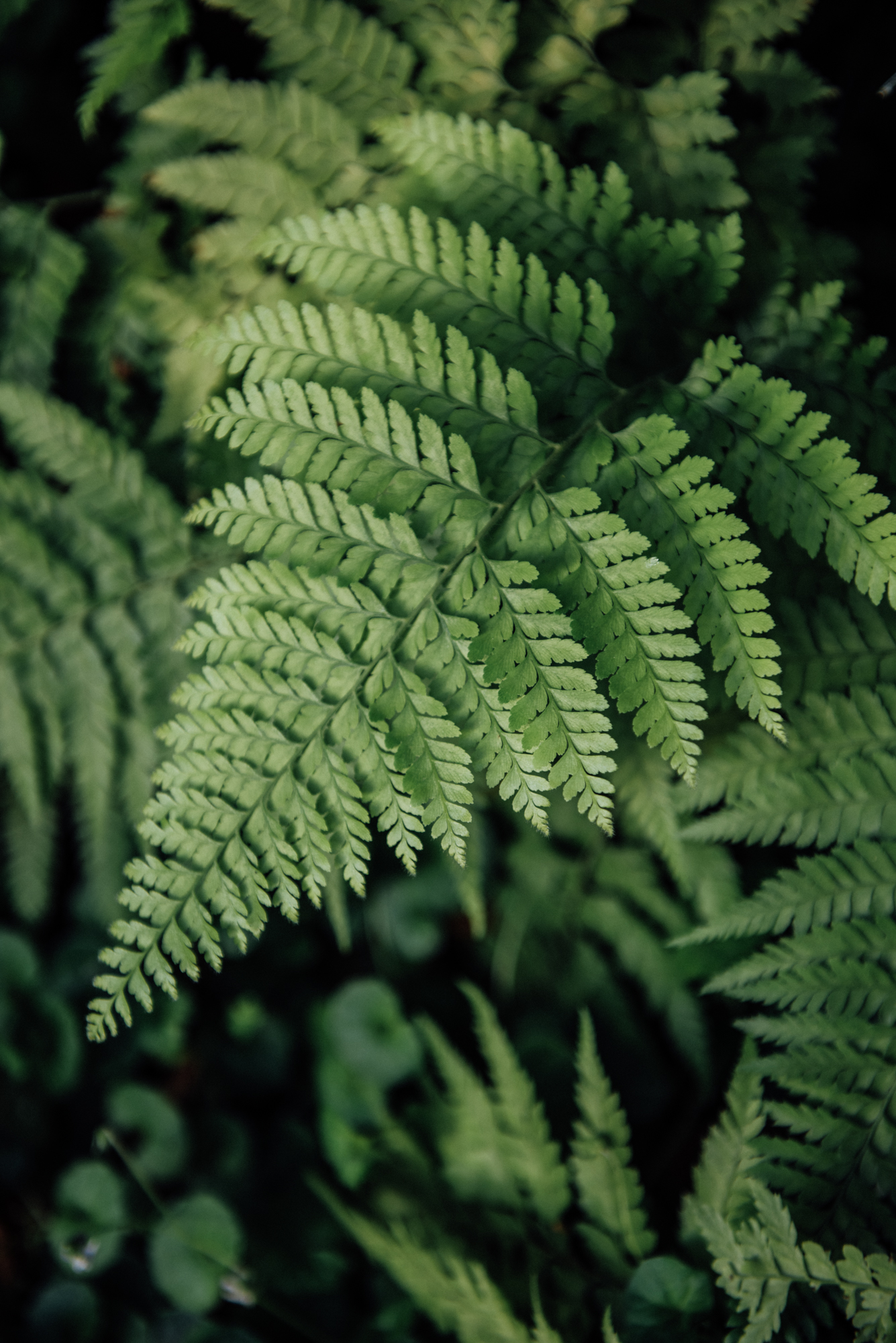 Ink Hotel Tel Aviv | Boutique Hotel in Tel Aviv | מלון אינק תל אביב by null