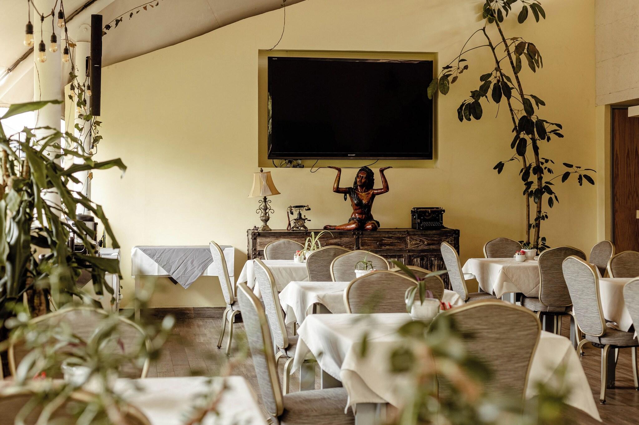 Maria Condesa by null