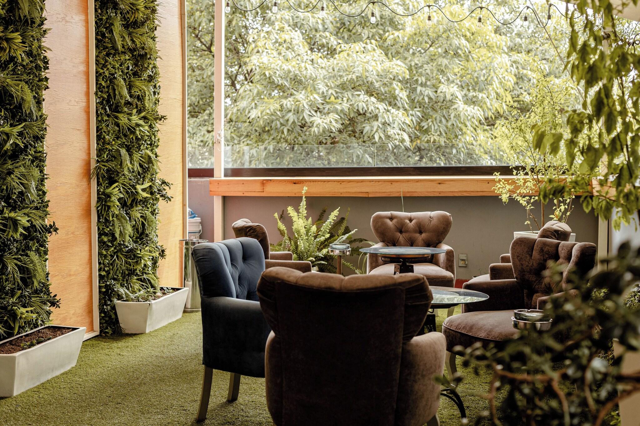 Maria Condesa by null