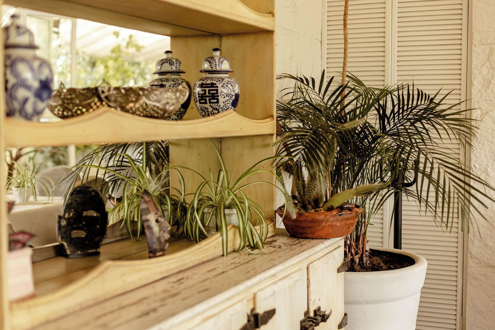 Maria Condesa by null