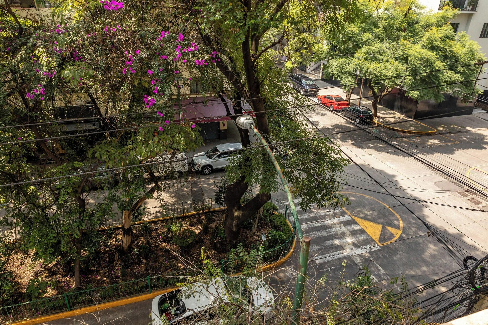 Maria Condesa by null