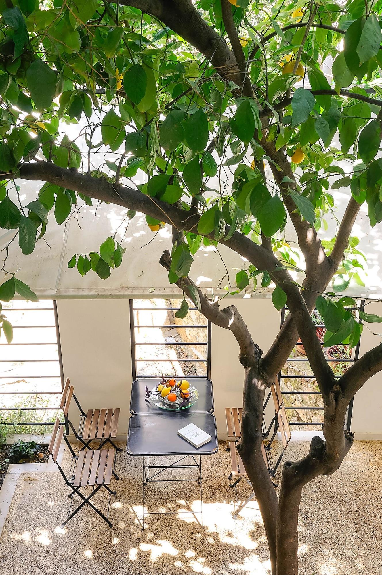 Athens Green Apartments