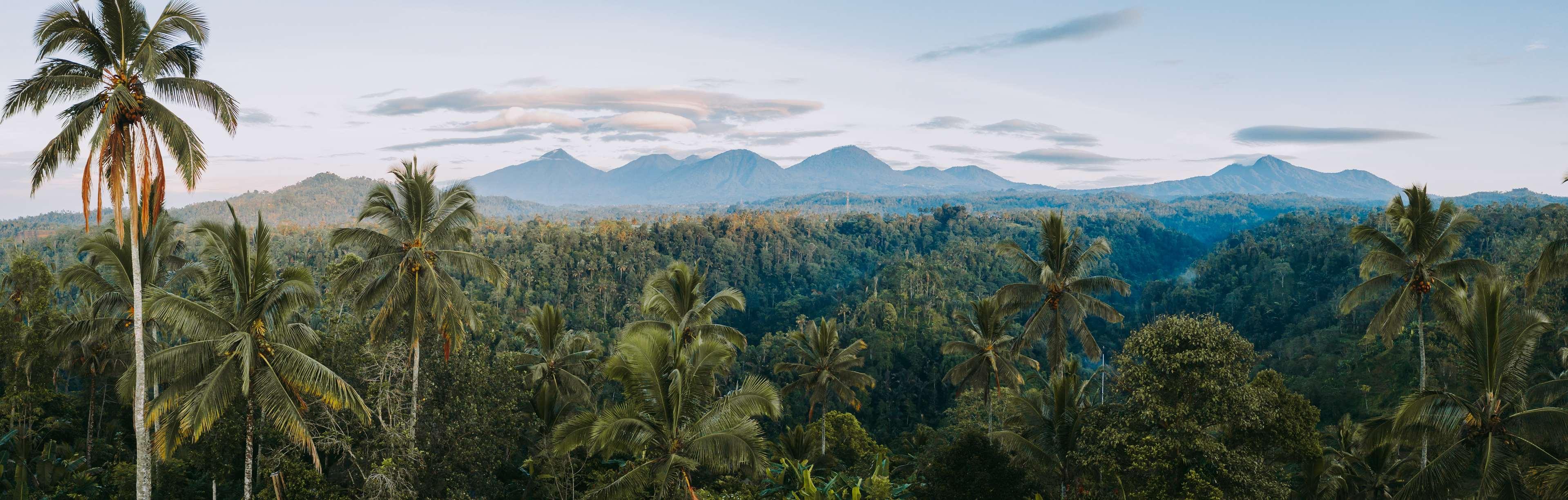 Buahan, a Banyan Tree Escape - nuotrauka