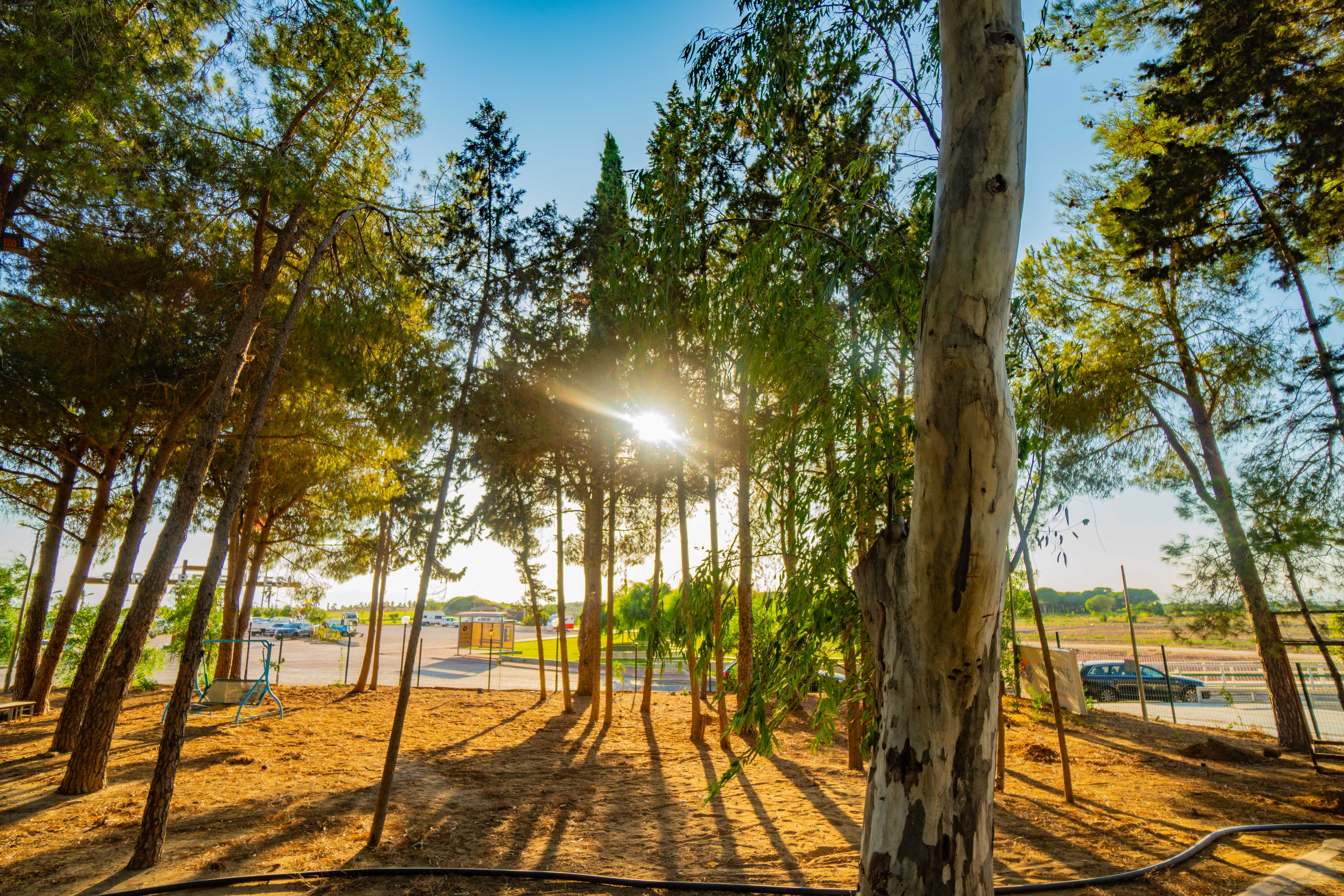 Prenses Sealine Beach Hotel - Poză