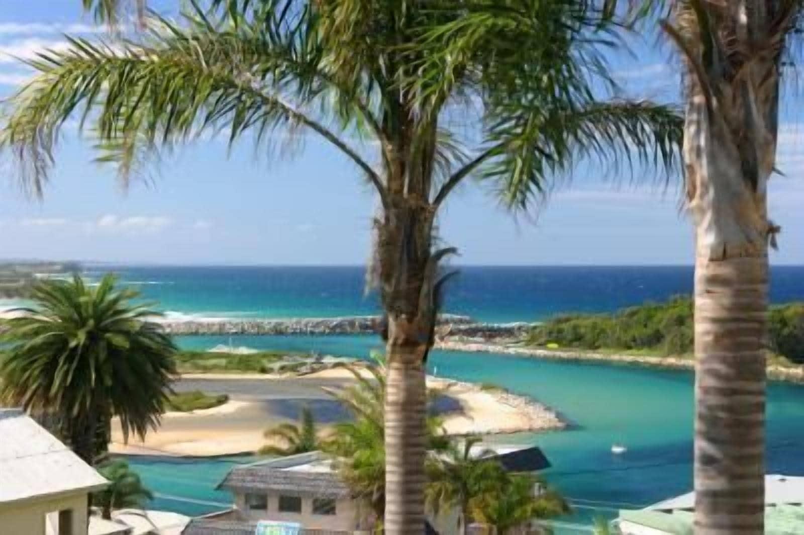 The Whale Inn by null