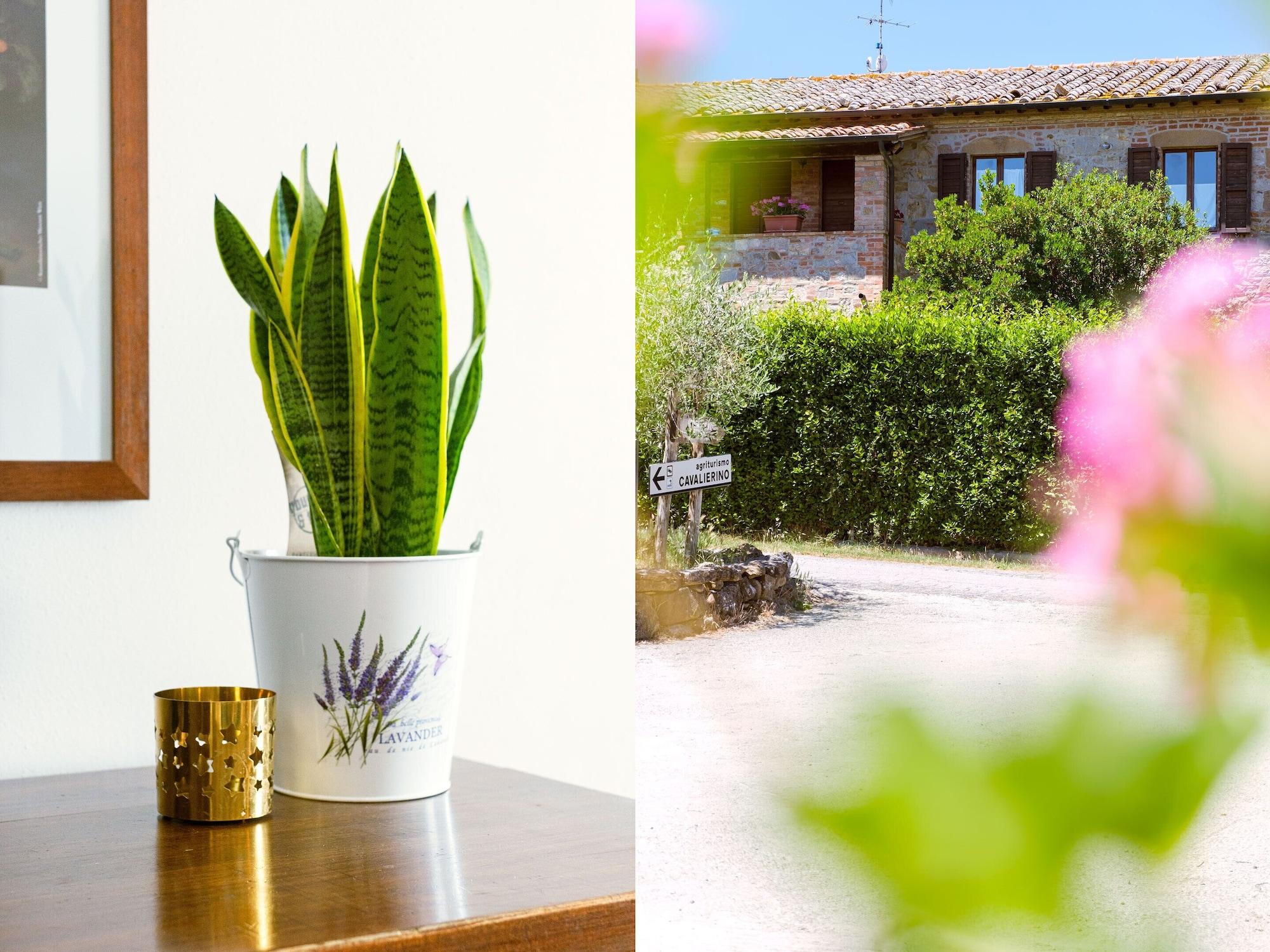 Agriturismo Cavalierino by null