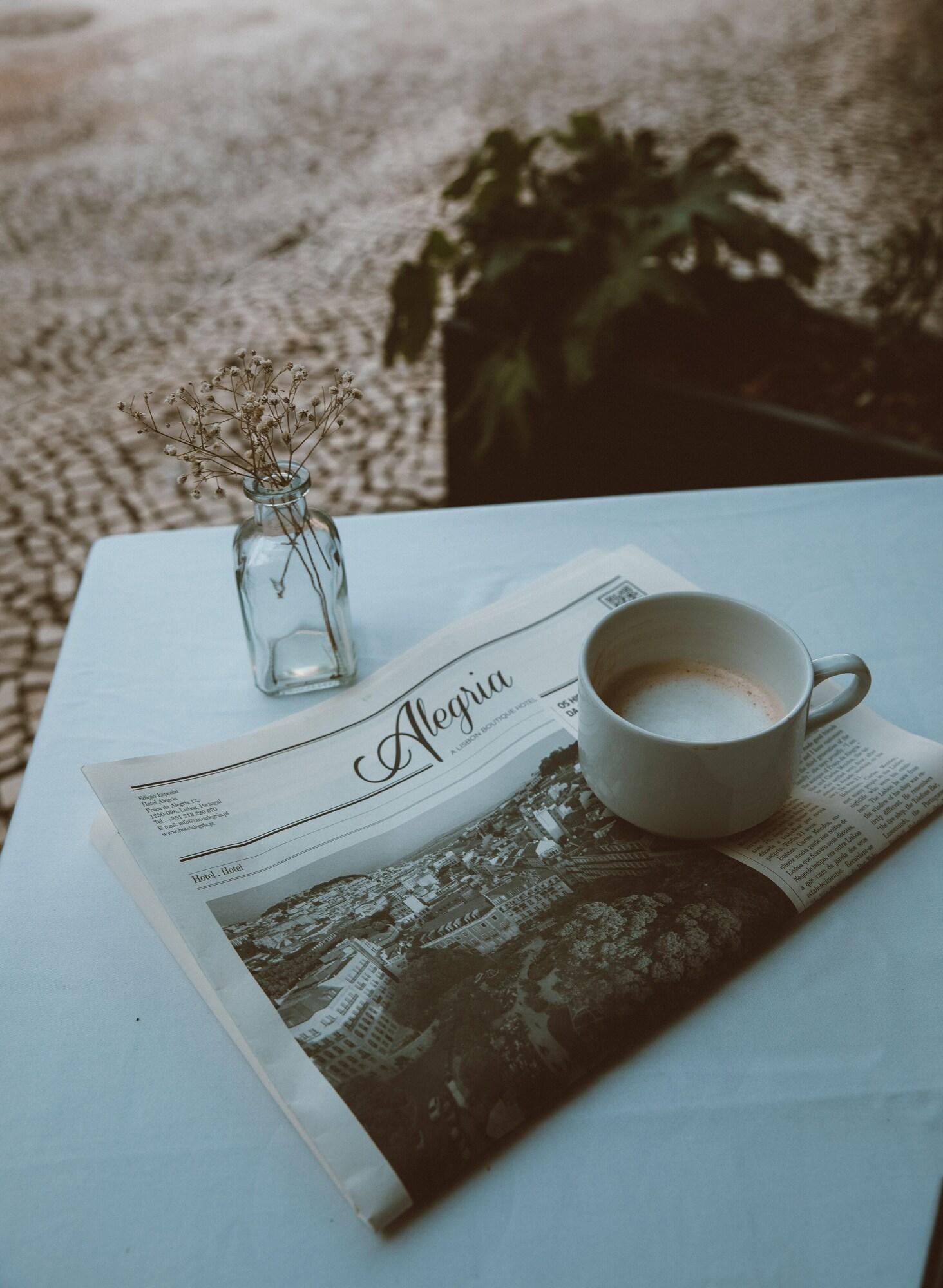 Hotel Alegria by null