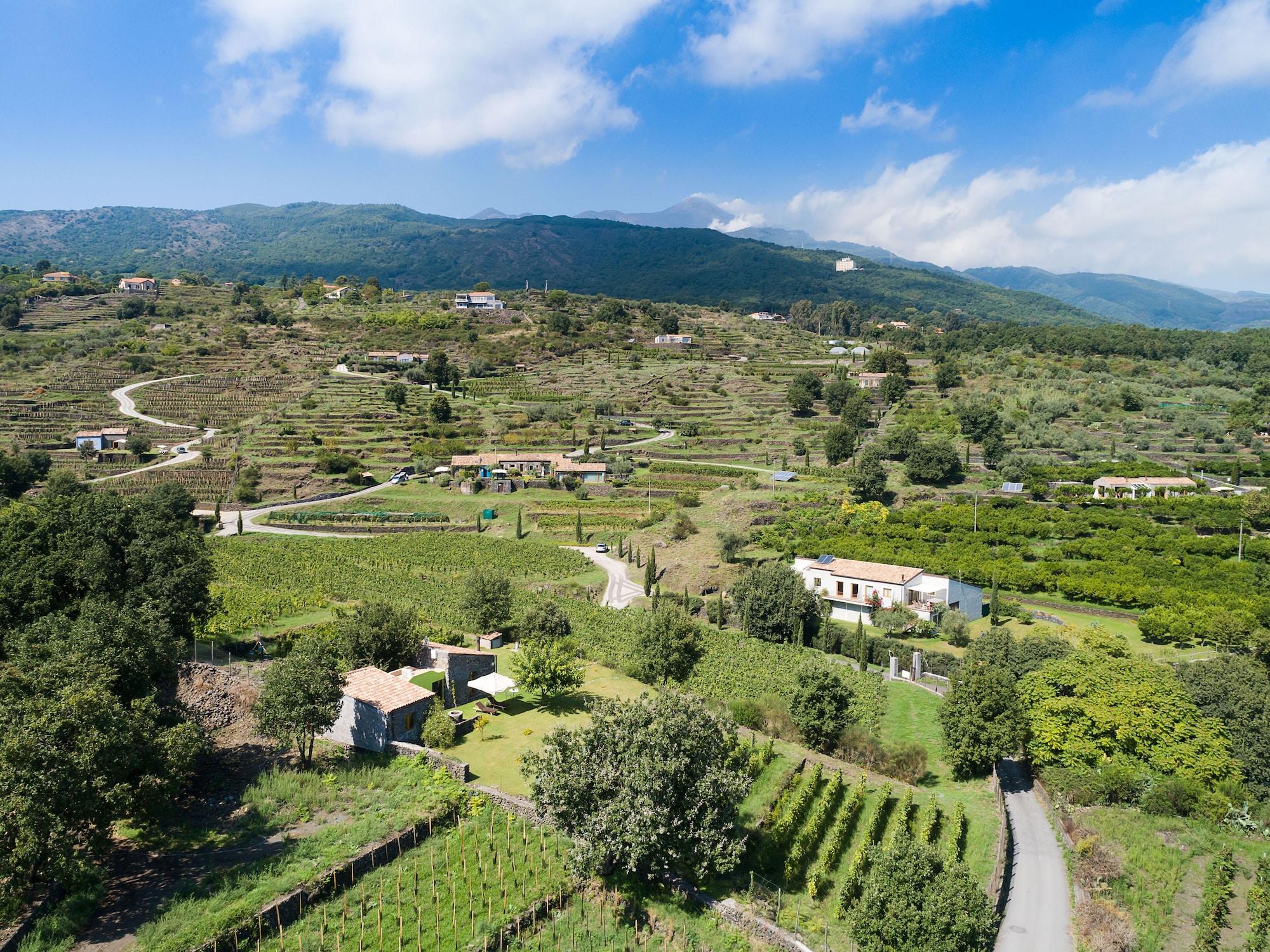 Monaci delle Terre Nere by null