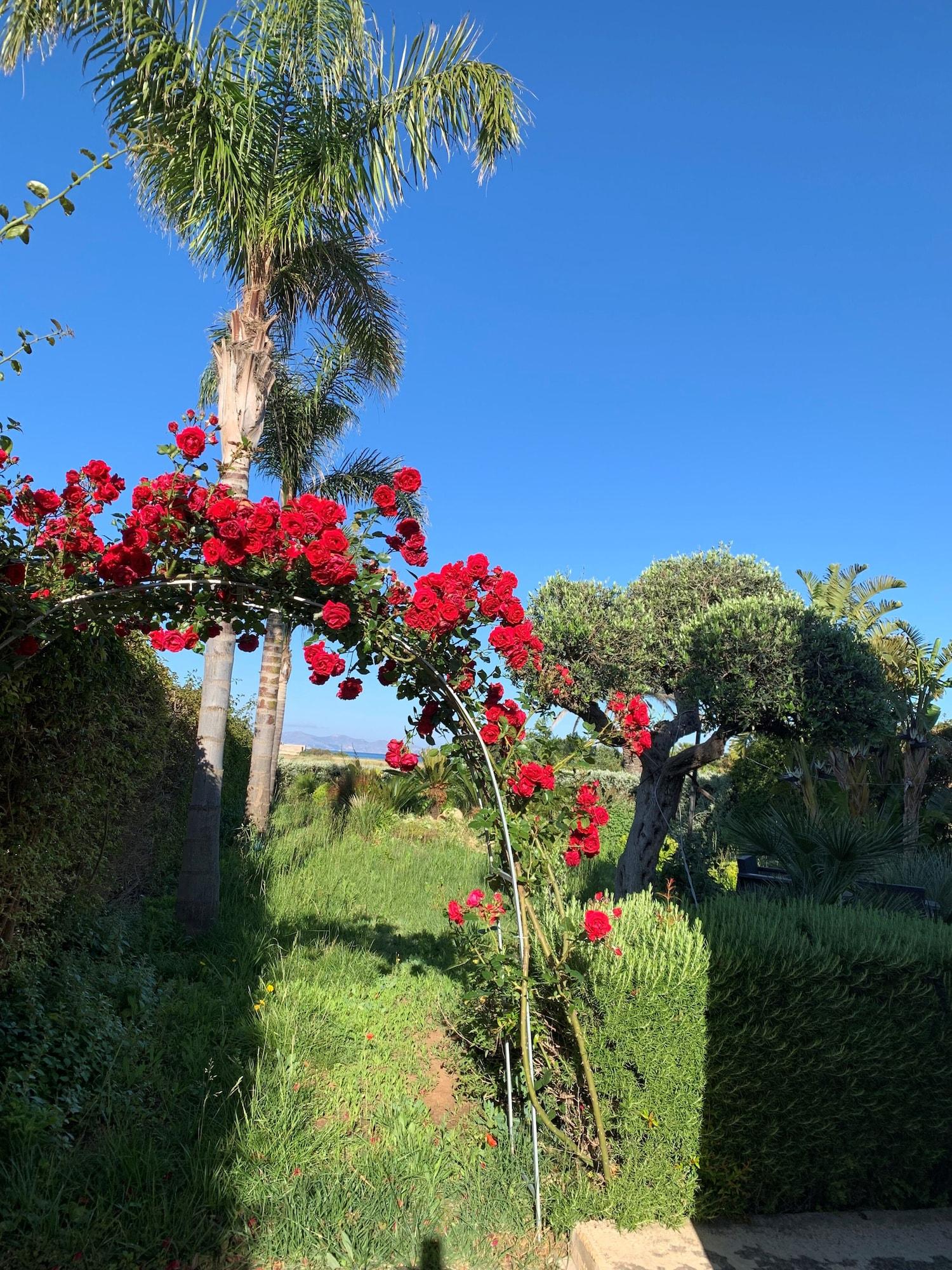 Vista Egadi B&B