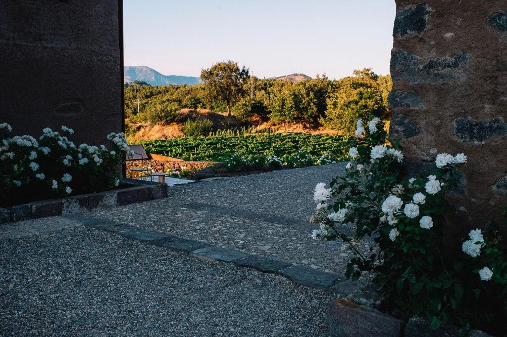Tenuta di Fessina
