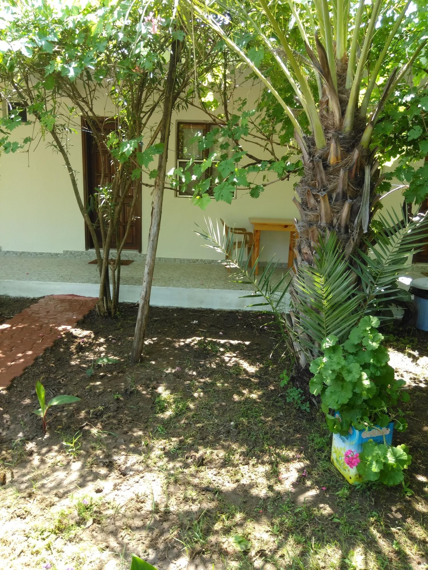 General view 2, Armina Pension, Kemer