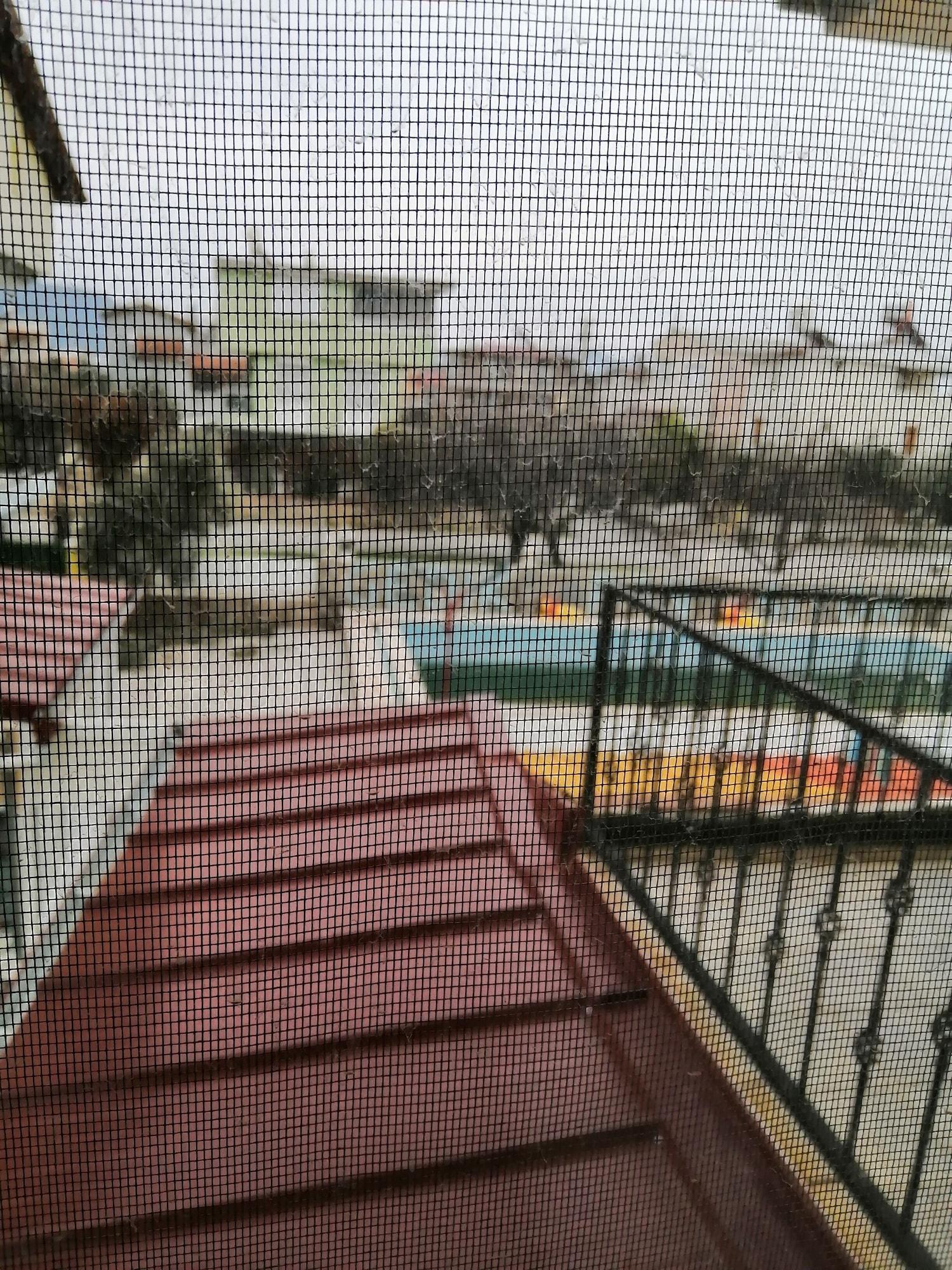 Gedik Pansiyon