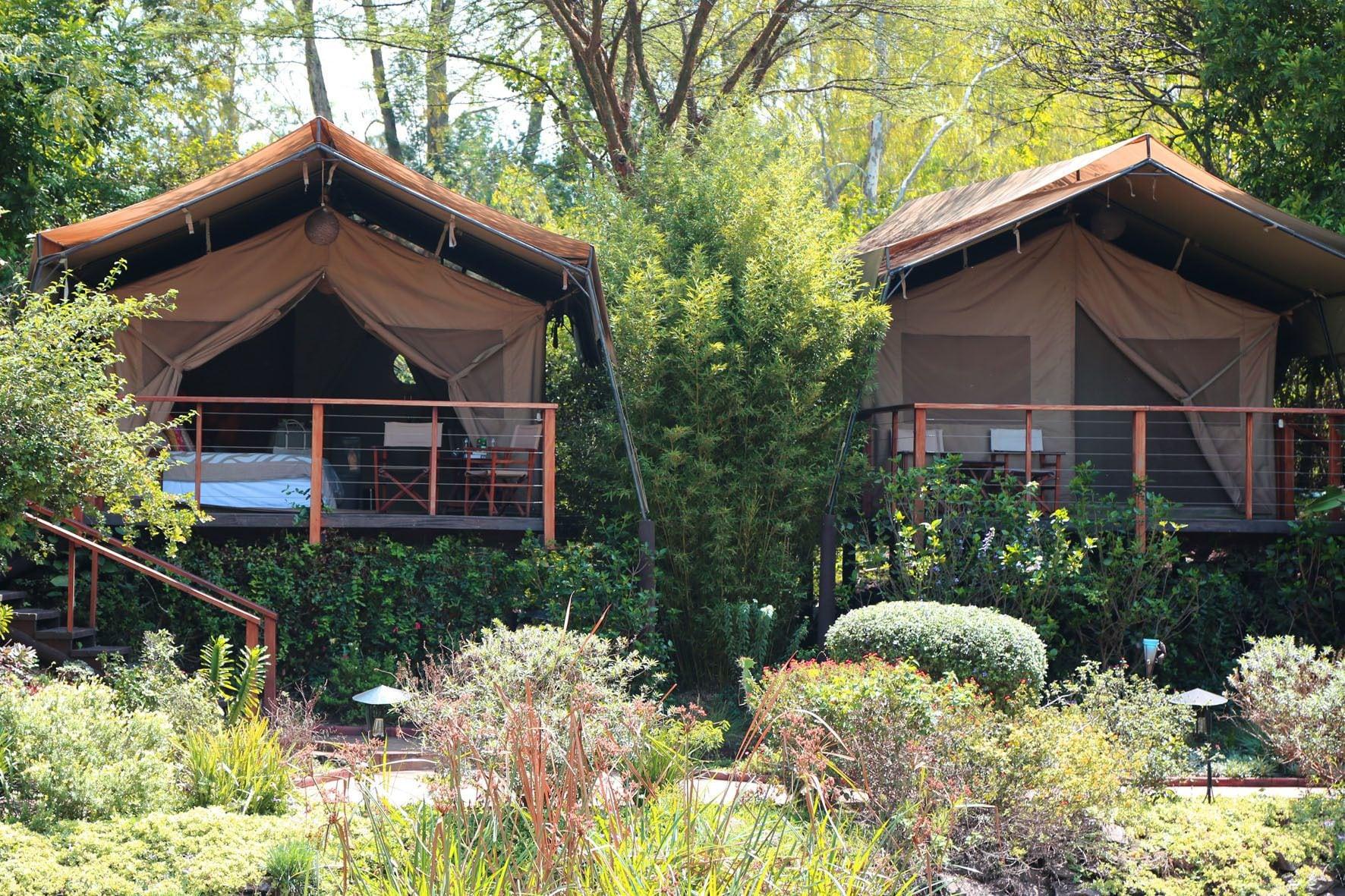 Wildebeest Eco Camp by null