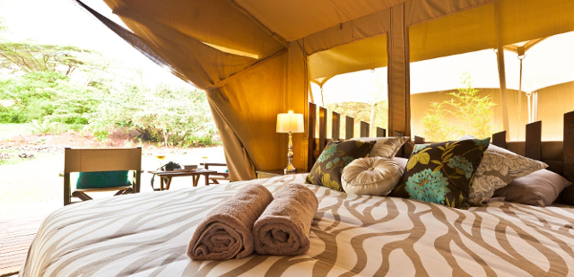 Wildebeest Eco Camp by null