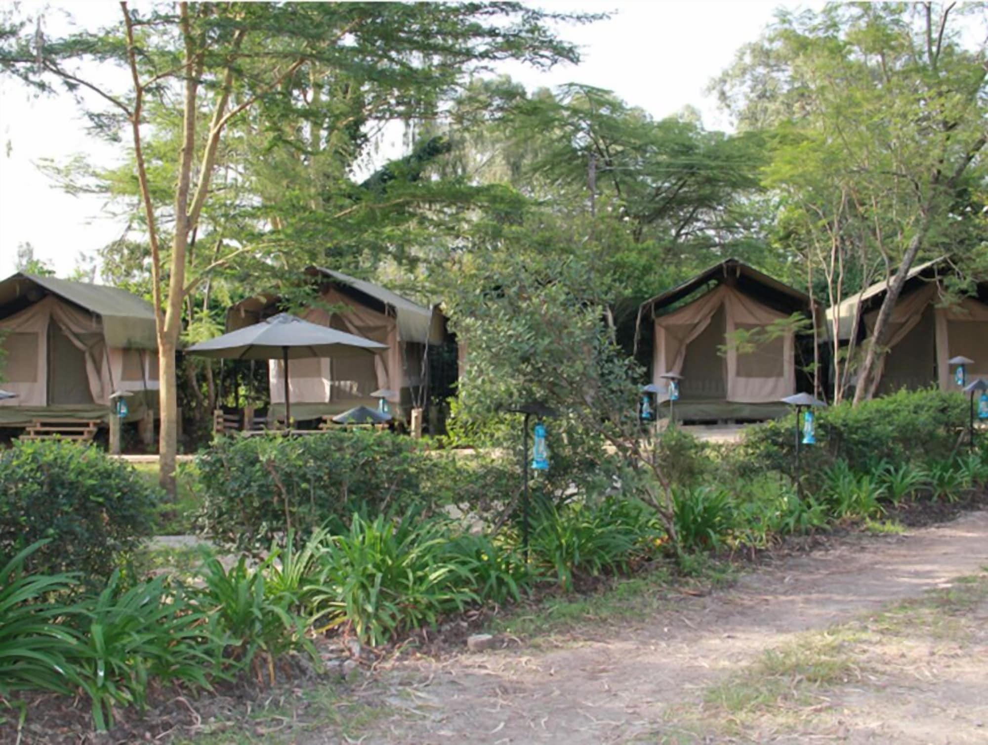Wildebeest Eco Camp by null