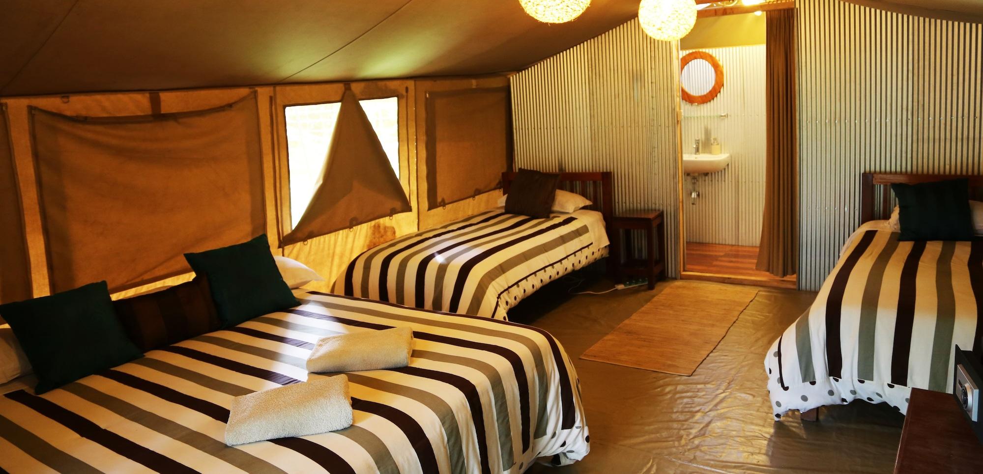 Wildebeest Eco Camp by null