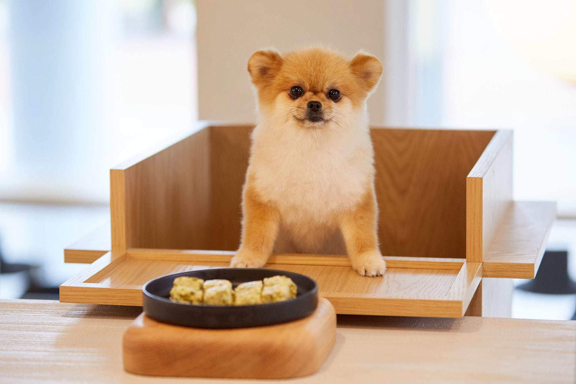 Sono Pet Clubs Resorts Vivaldi Park