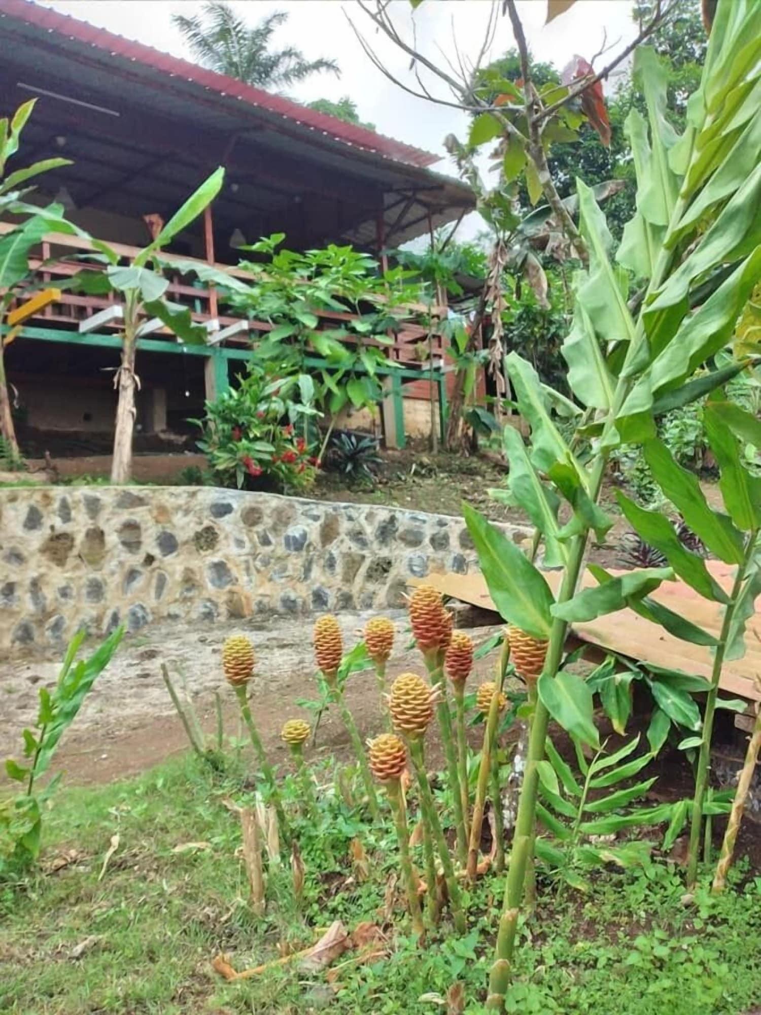 Guest House Quinta Natural