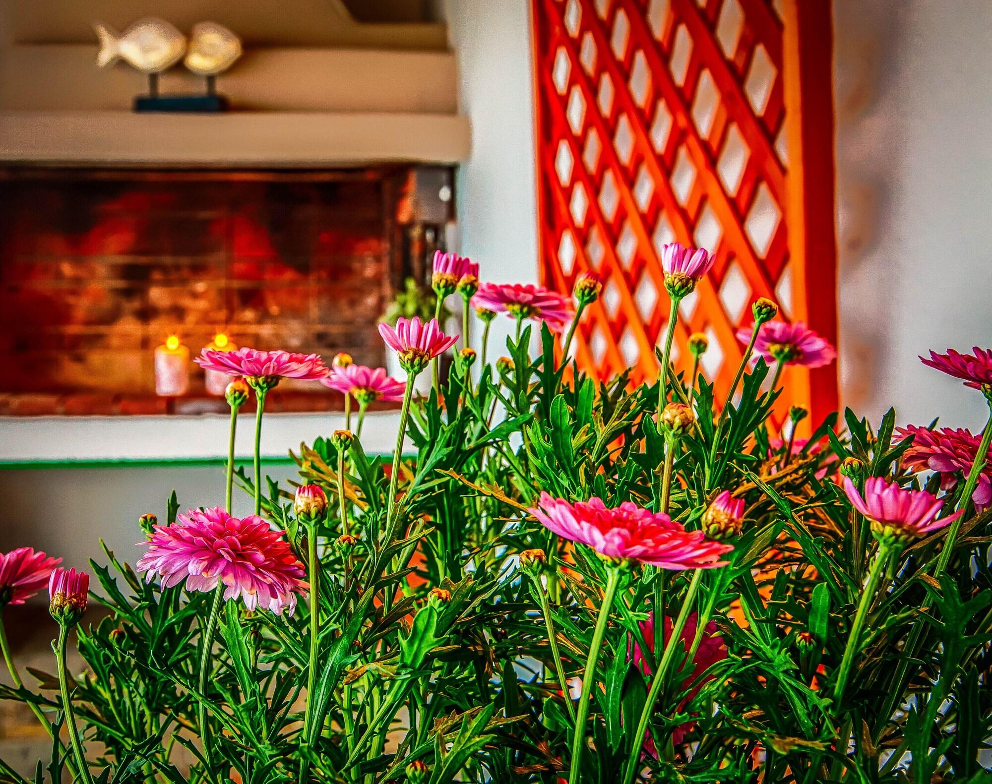 Aqua Mare Sea Side - фото