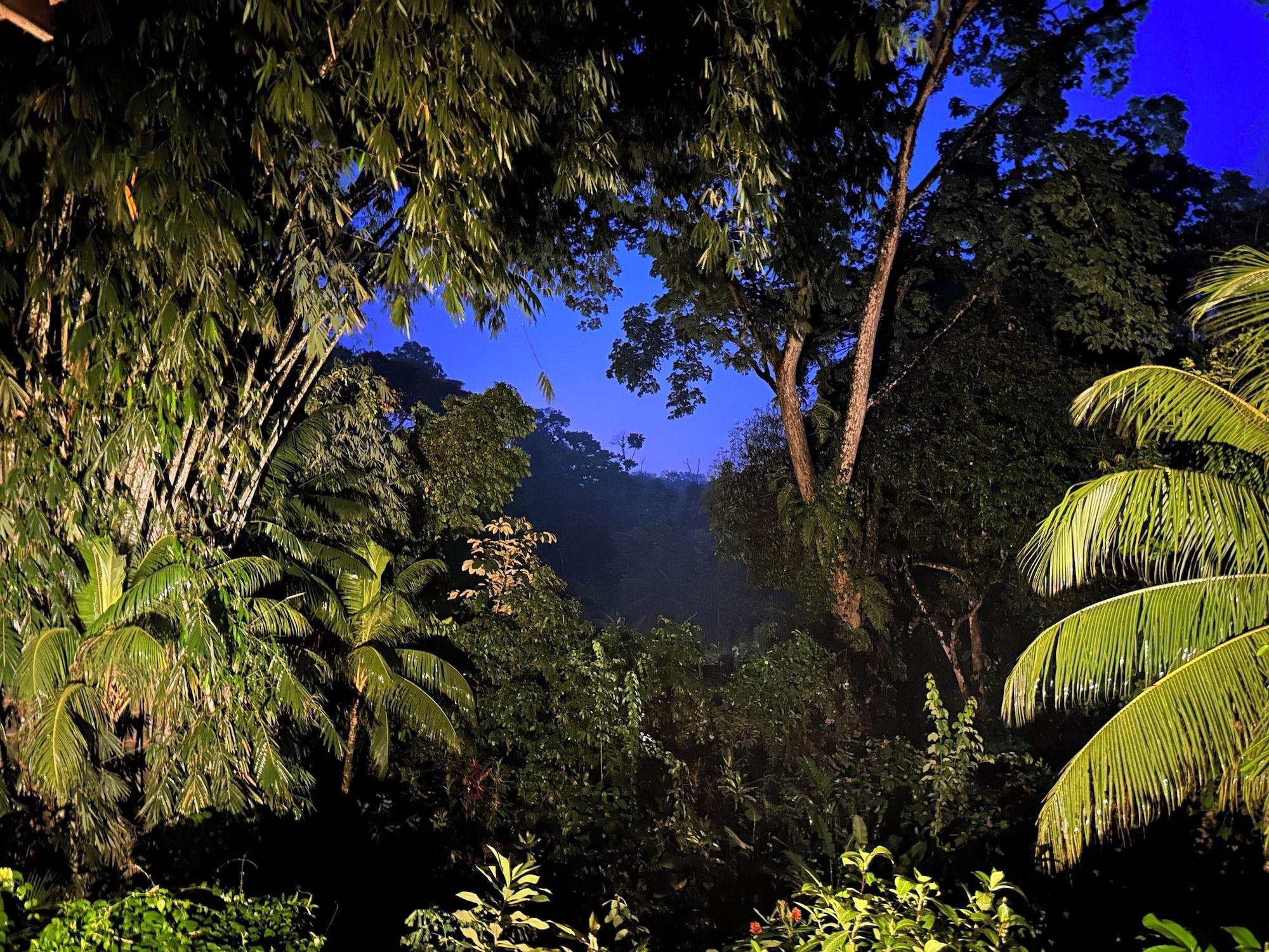 Cascada Verde by null