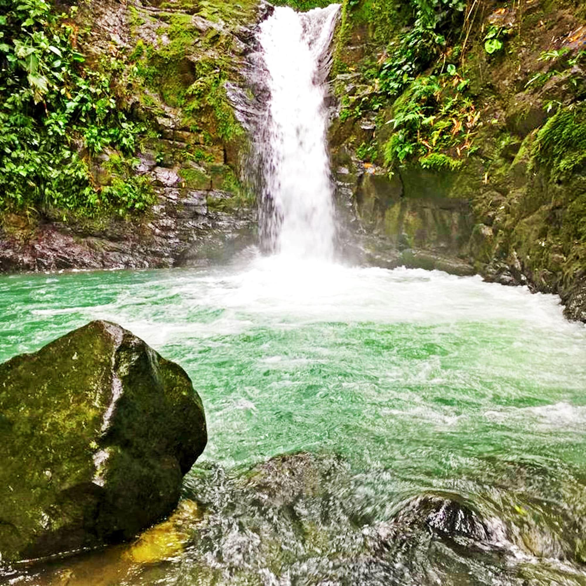 Cascada Verde by null