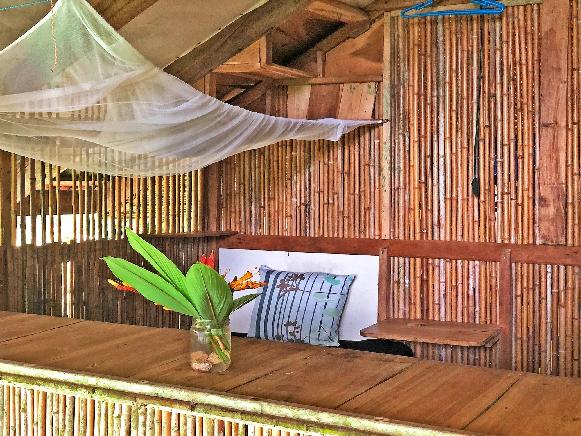 Cascada Verde by null