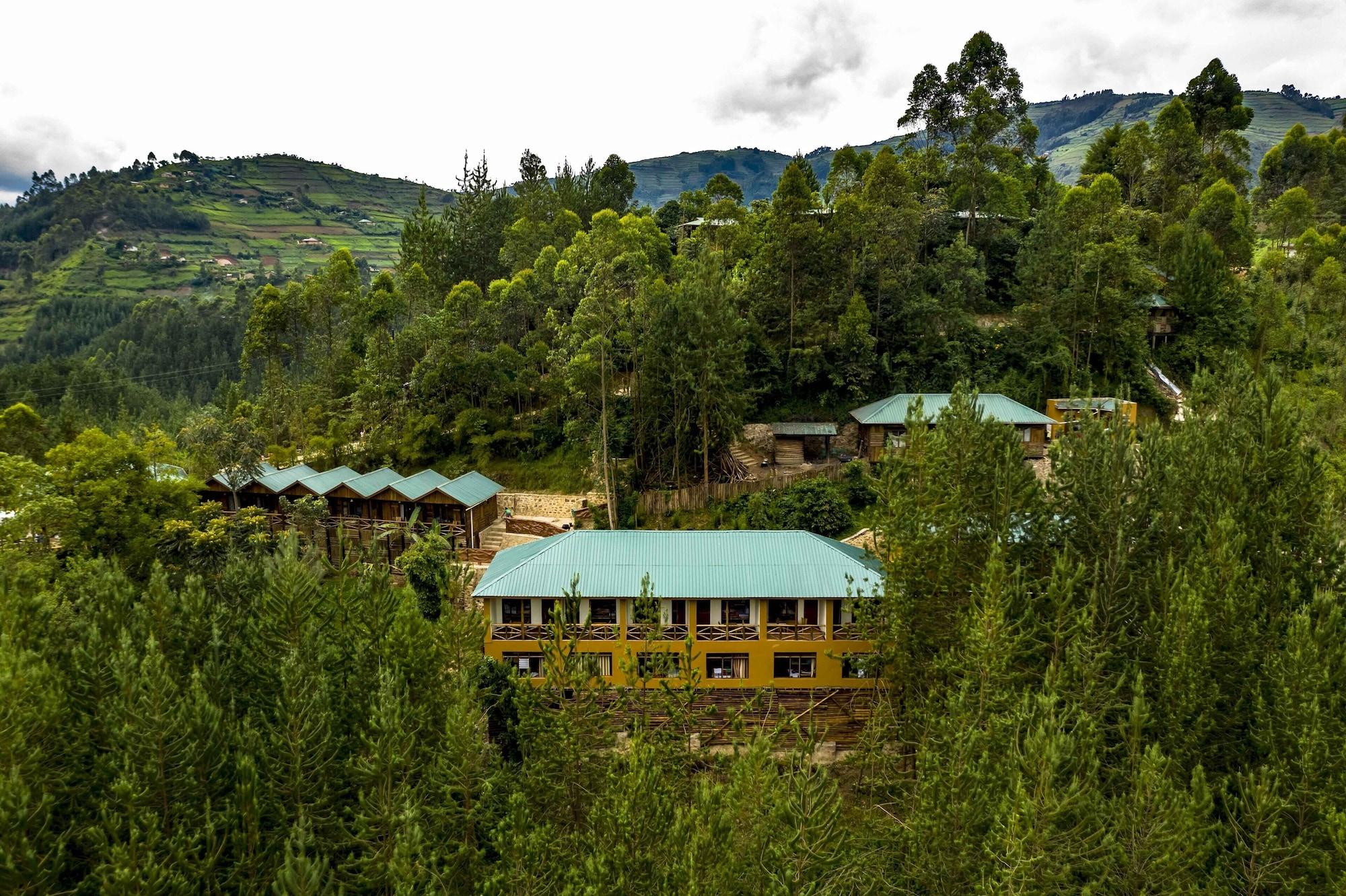 Rushaga Gorilla Camp image