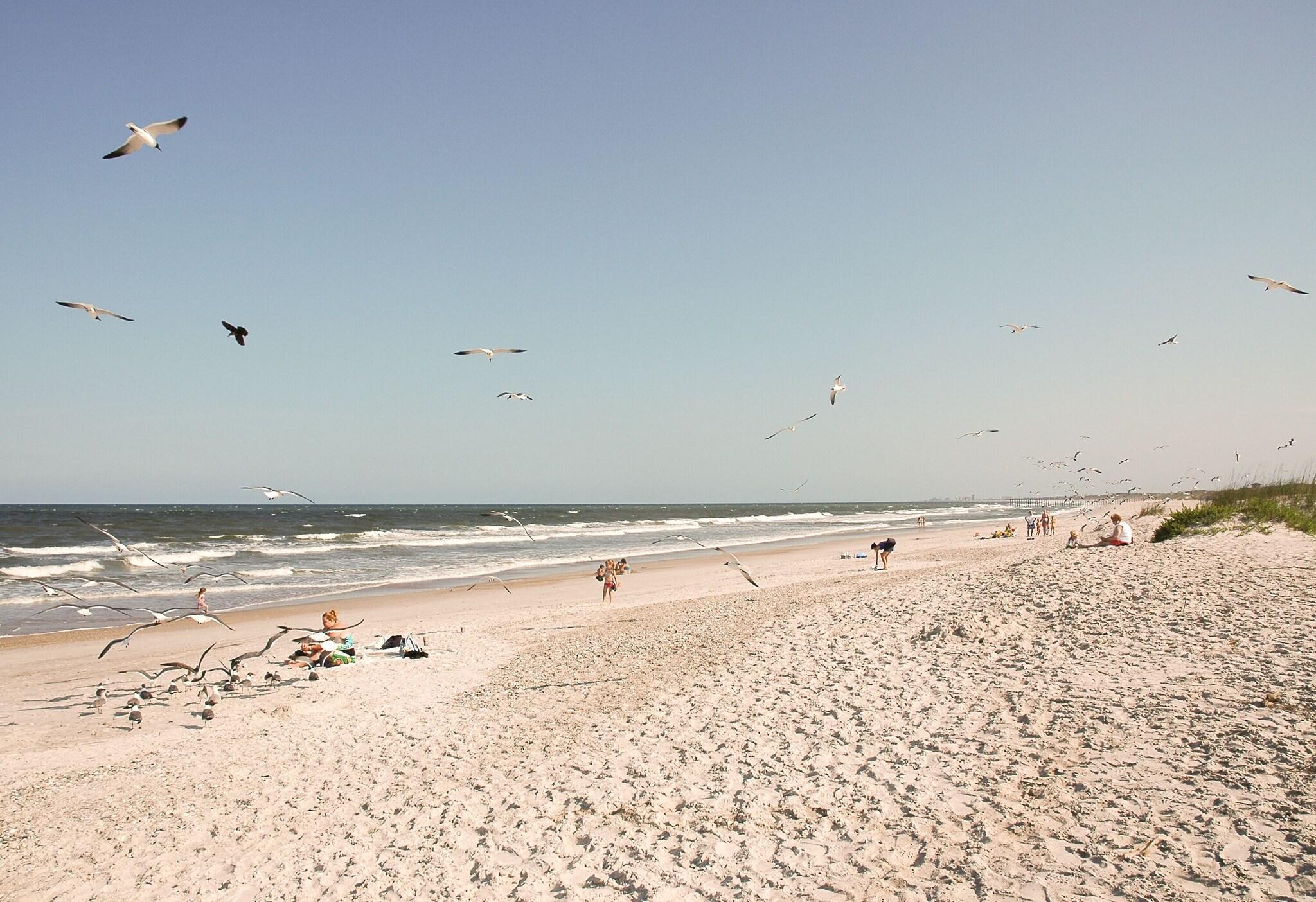 Element Jacksonville Beach by null