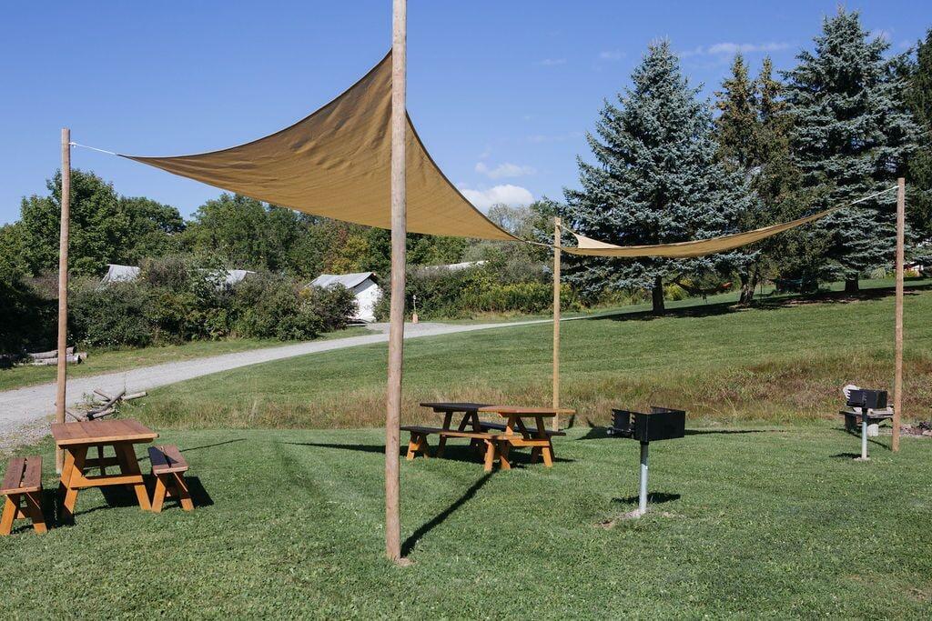 Firelight Camps