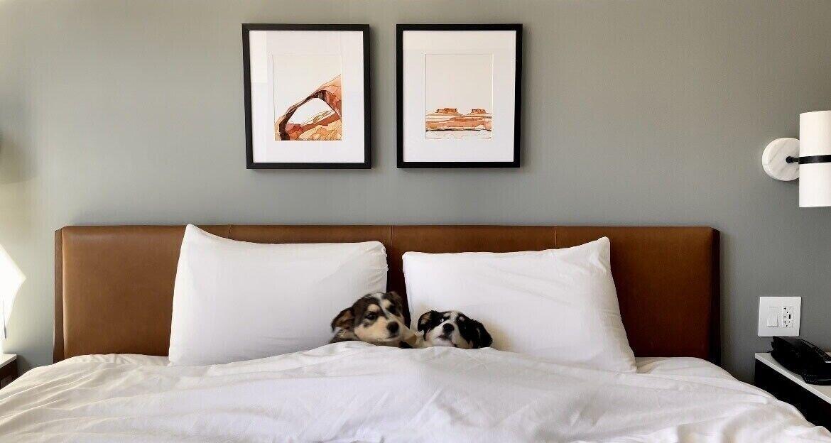 Gravity Haus Moab by null