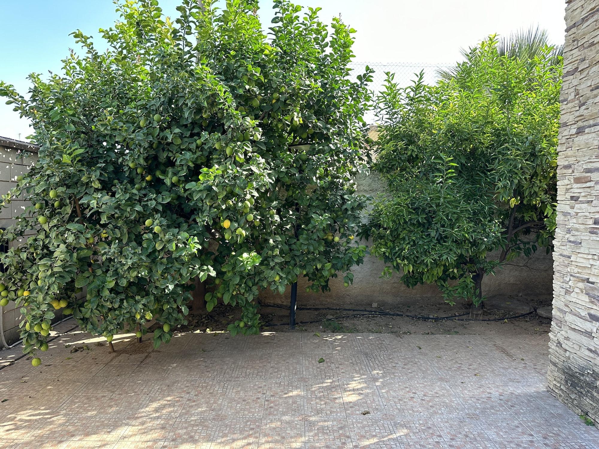 Casa Peseta. Casa Rural