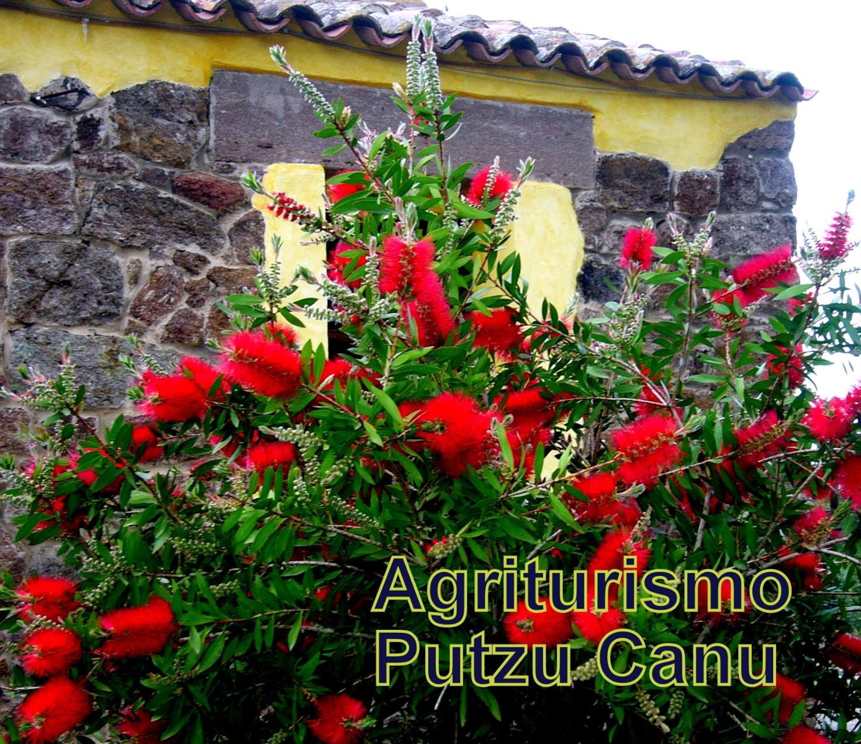 Agriturismo Putzu Canu