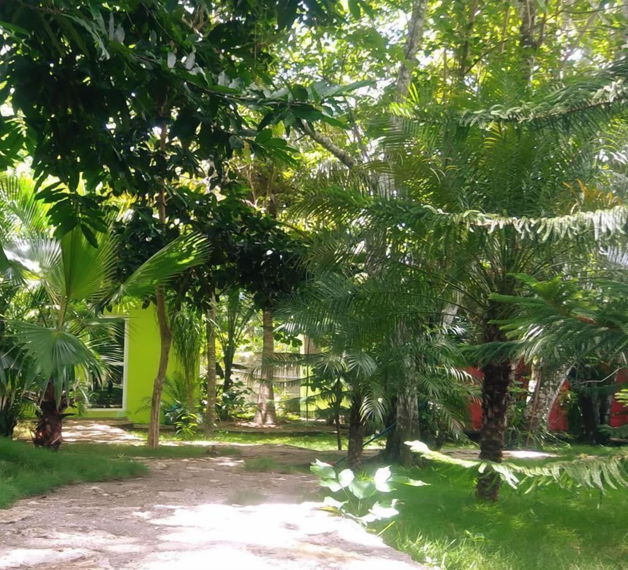 Sports and Entertainment 5, Green Jungle Hotel y Restaurante, Flores
