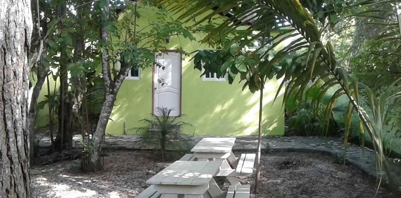 Green Jungle Hotel y Restaurante