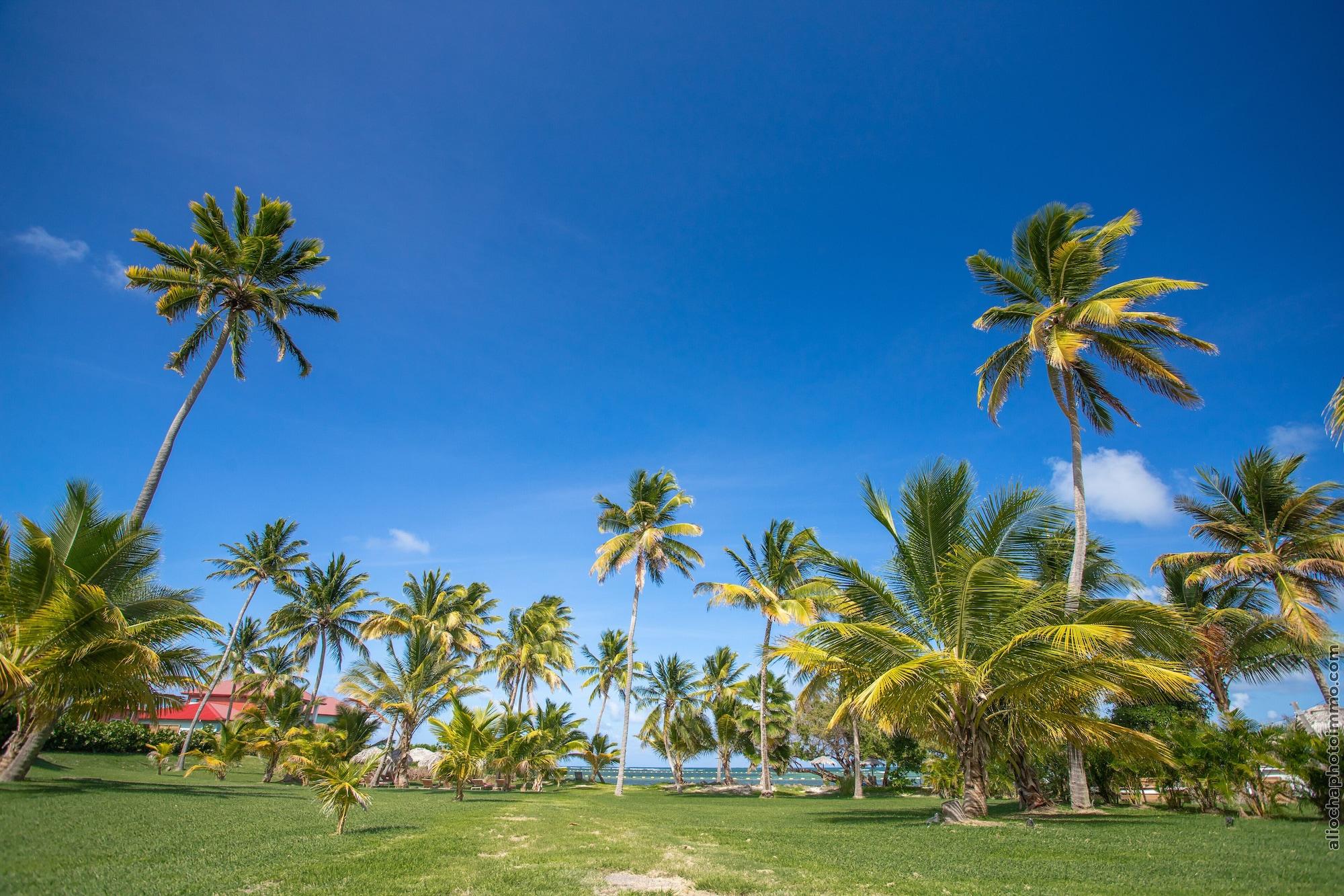 Les Villas du Lagon by null