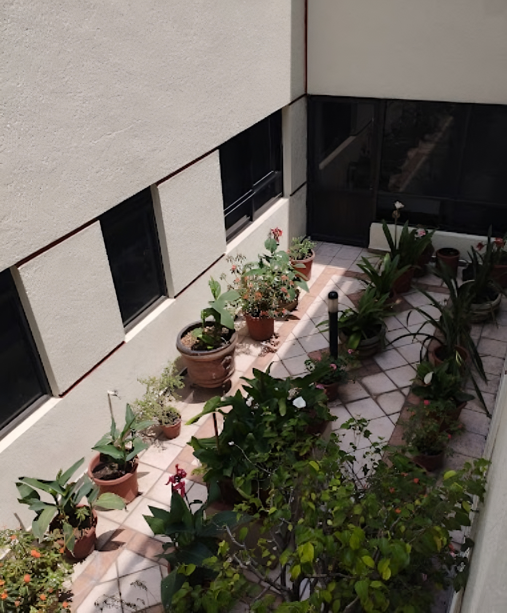 Hotel Ambar